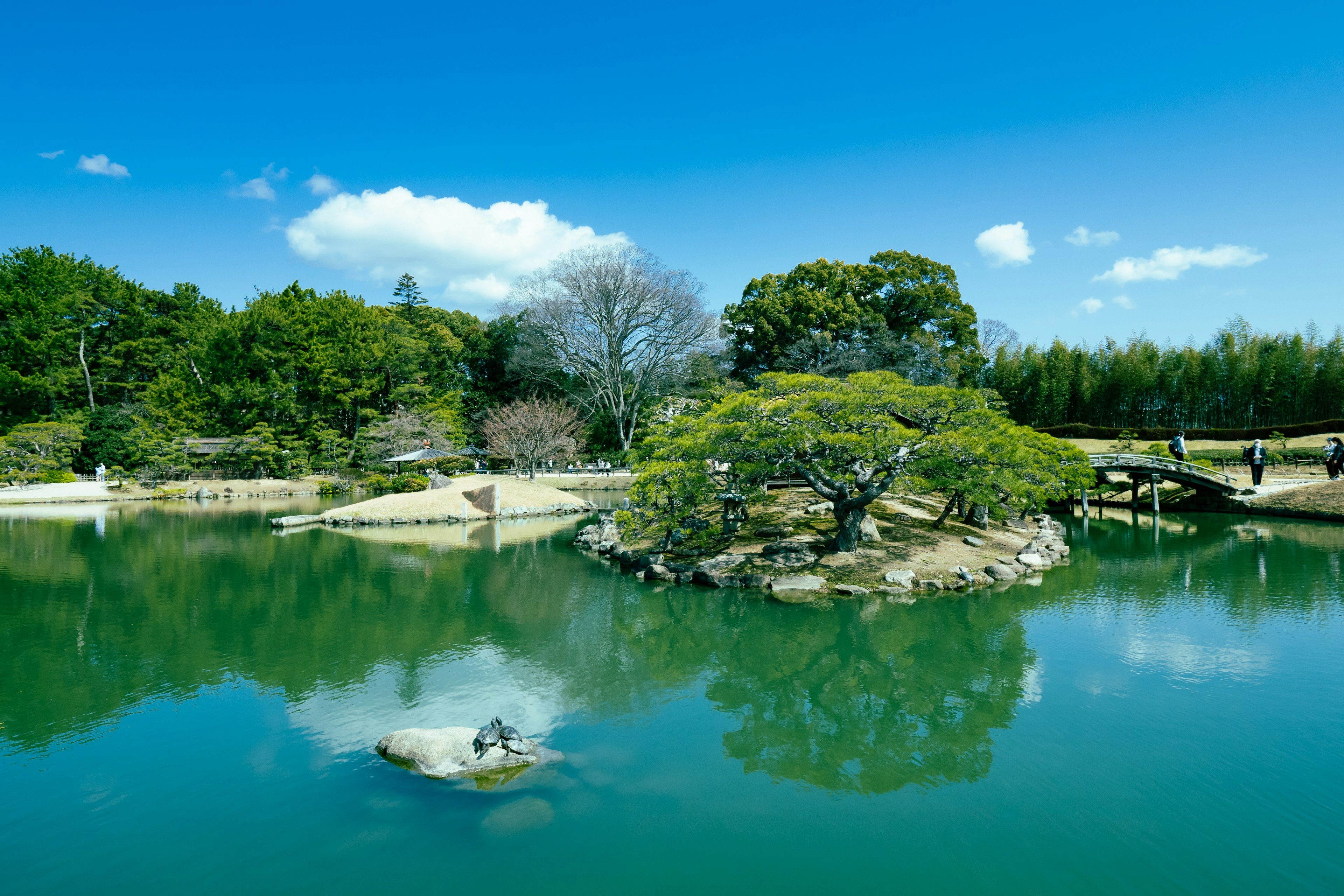 ทิวทัศน์ของทะเลสาบสงบและเกาะสีเขียวที่อุดมสมบูรณ์