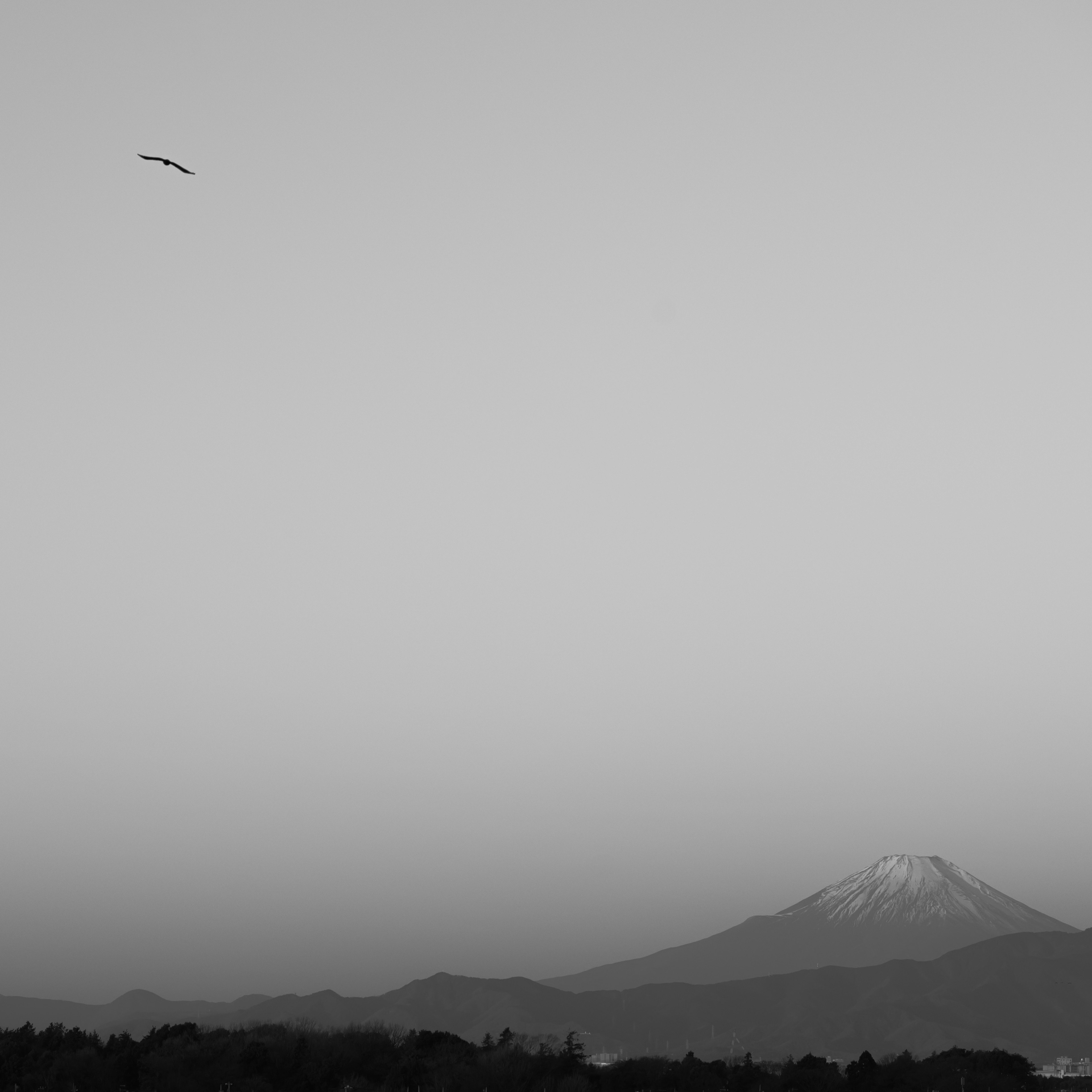 Image en noir et blanc du mont Fuji avec un avion volant dans le ciel