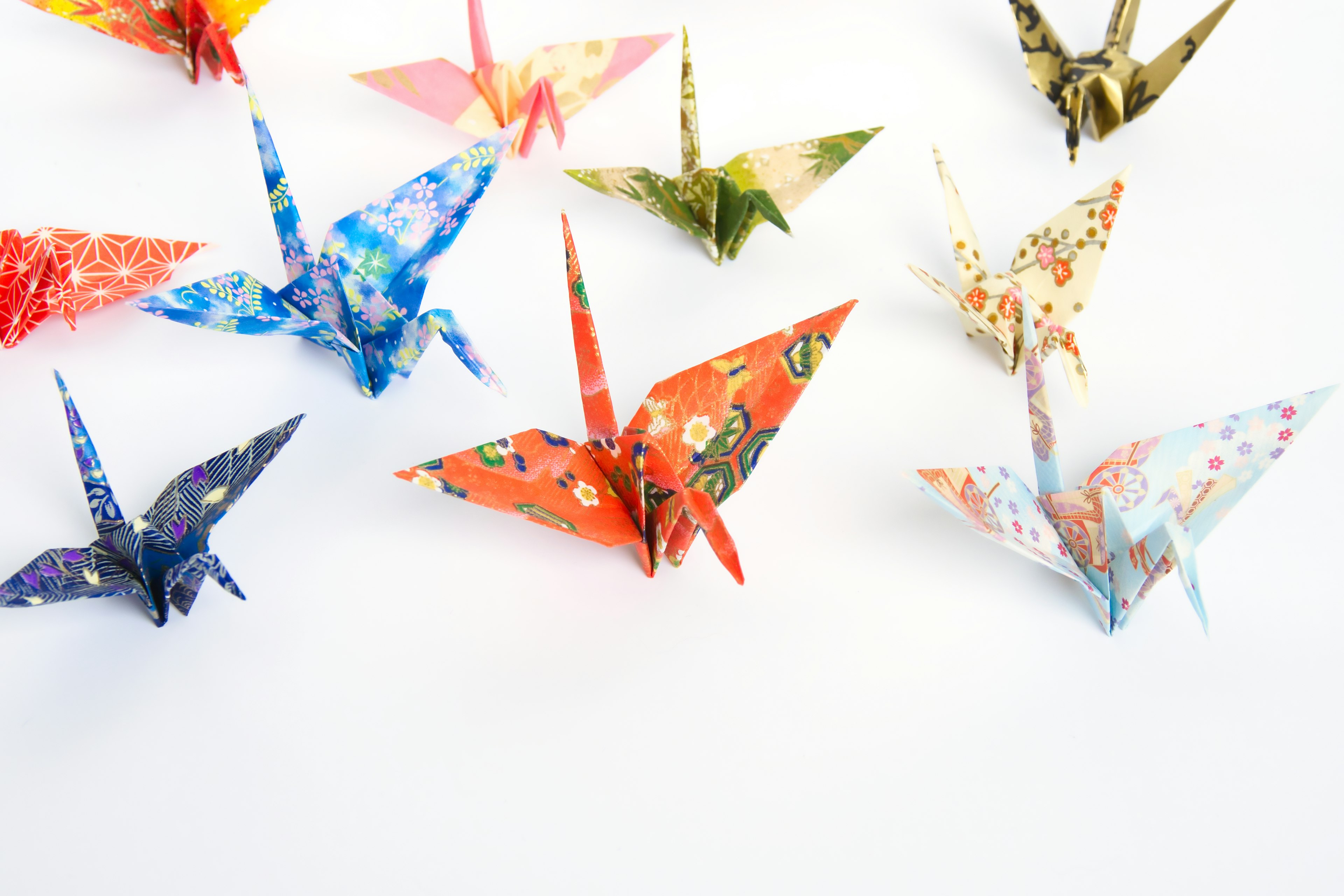 Colorful origami cranes arranged on a white background