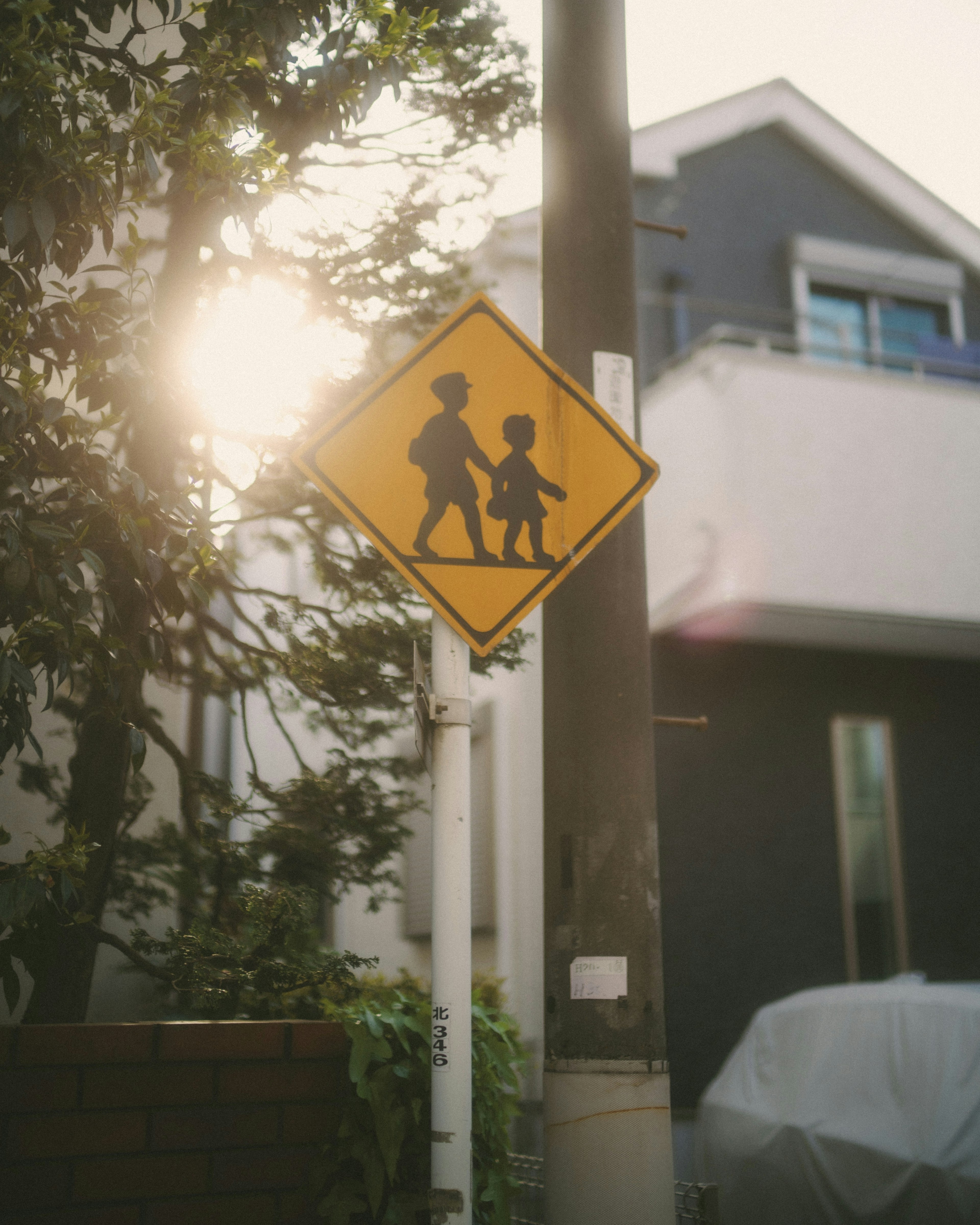 Gelbes Fußgängerüberweg-Schild mit einem Erwachsenen und einem Kind, während Sonnenlicht durch die Bäume fällt