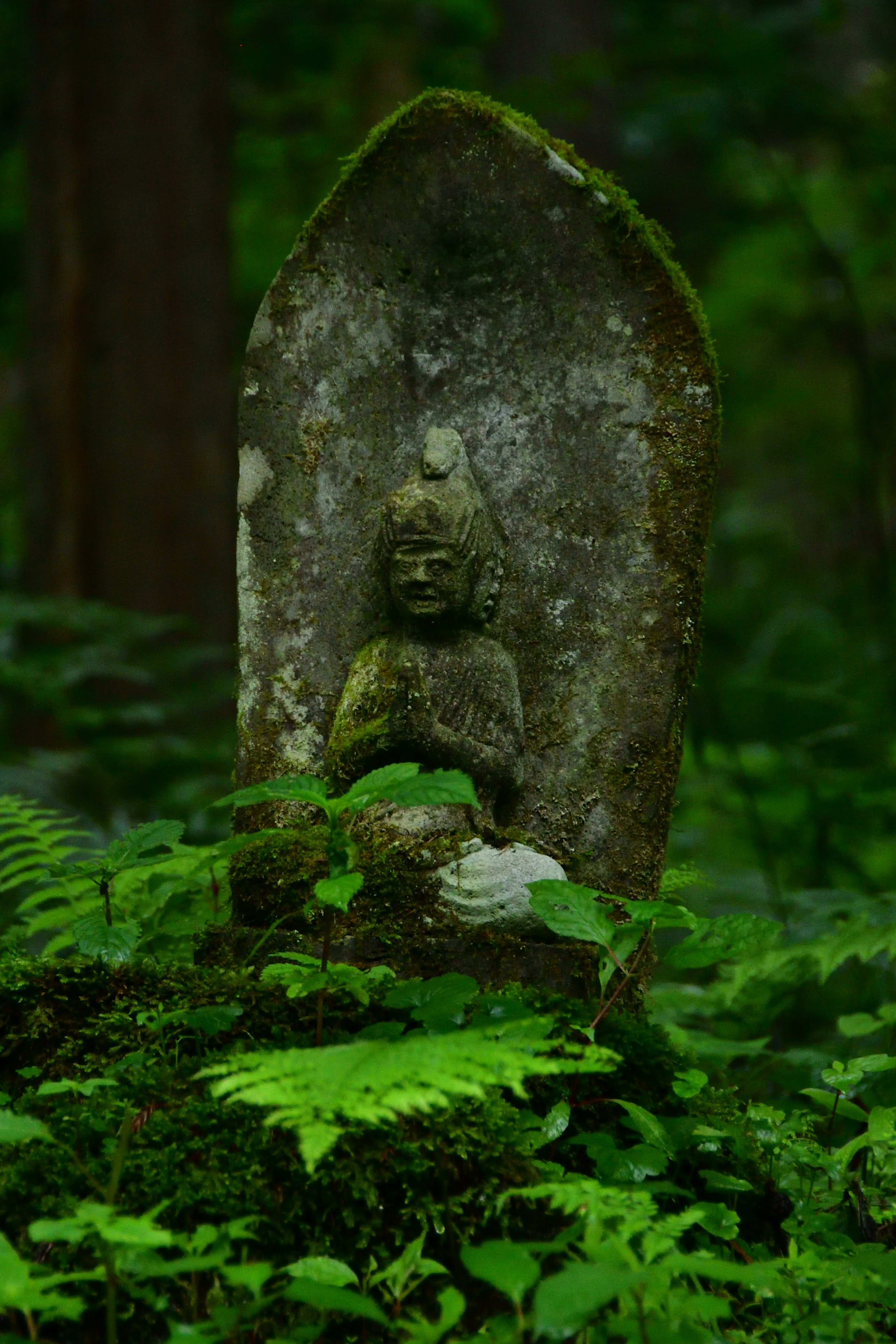 Ancient Buddha statue carved in stone surrounded by lush greenery