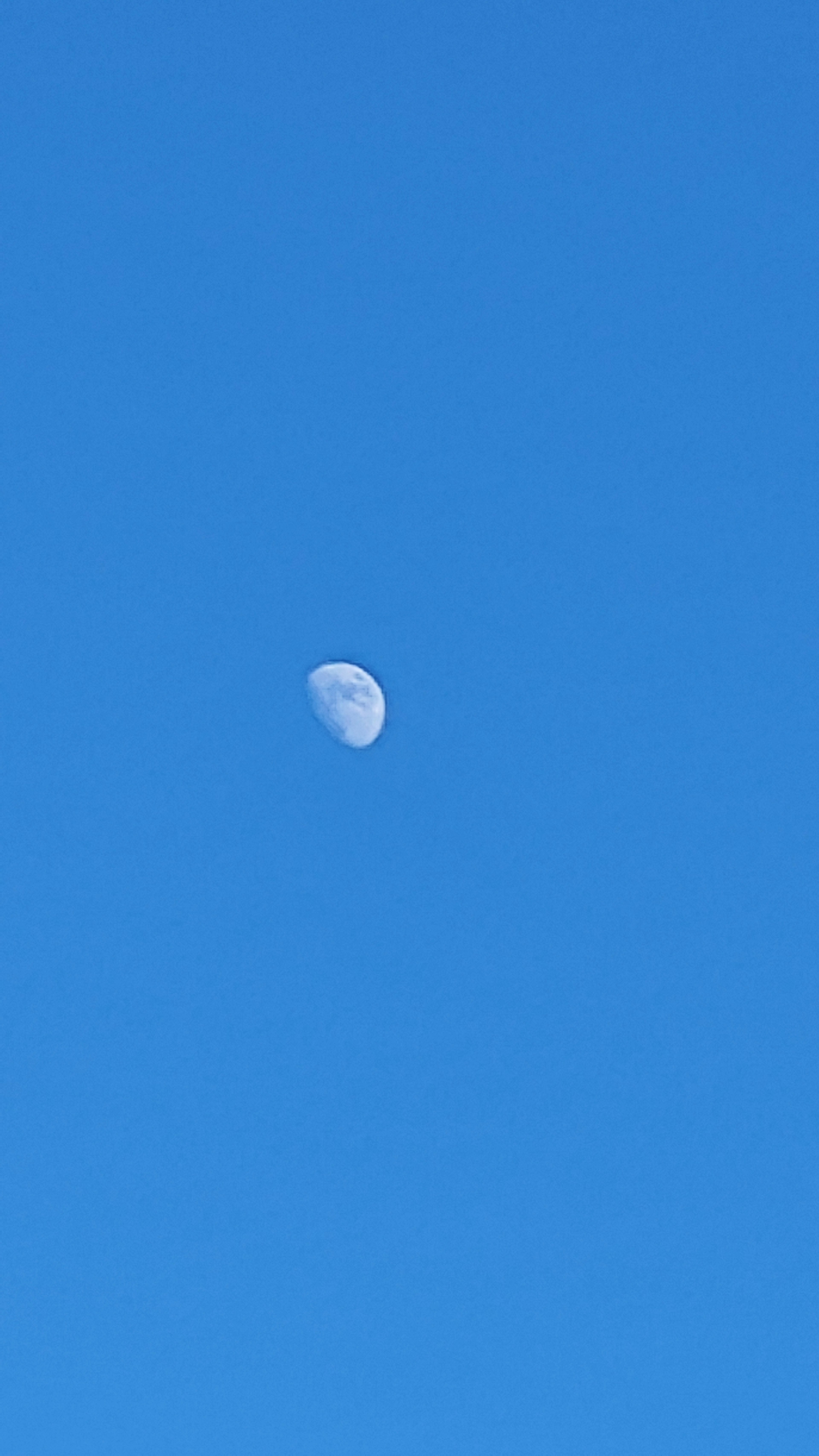 Mezza luna che fluttua in un cielo blu chiaro