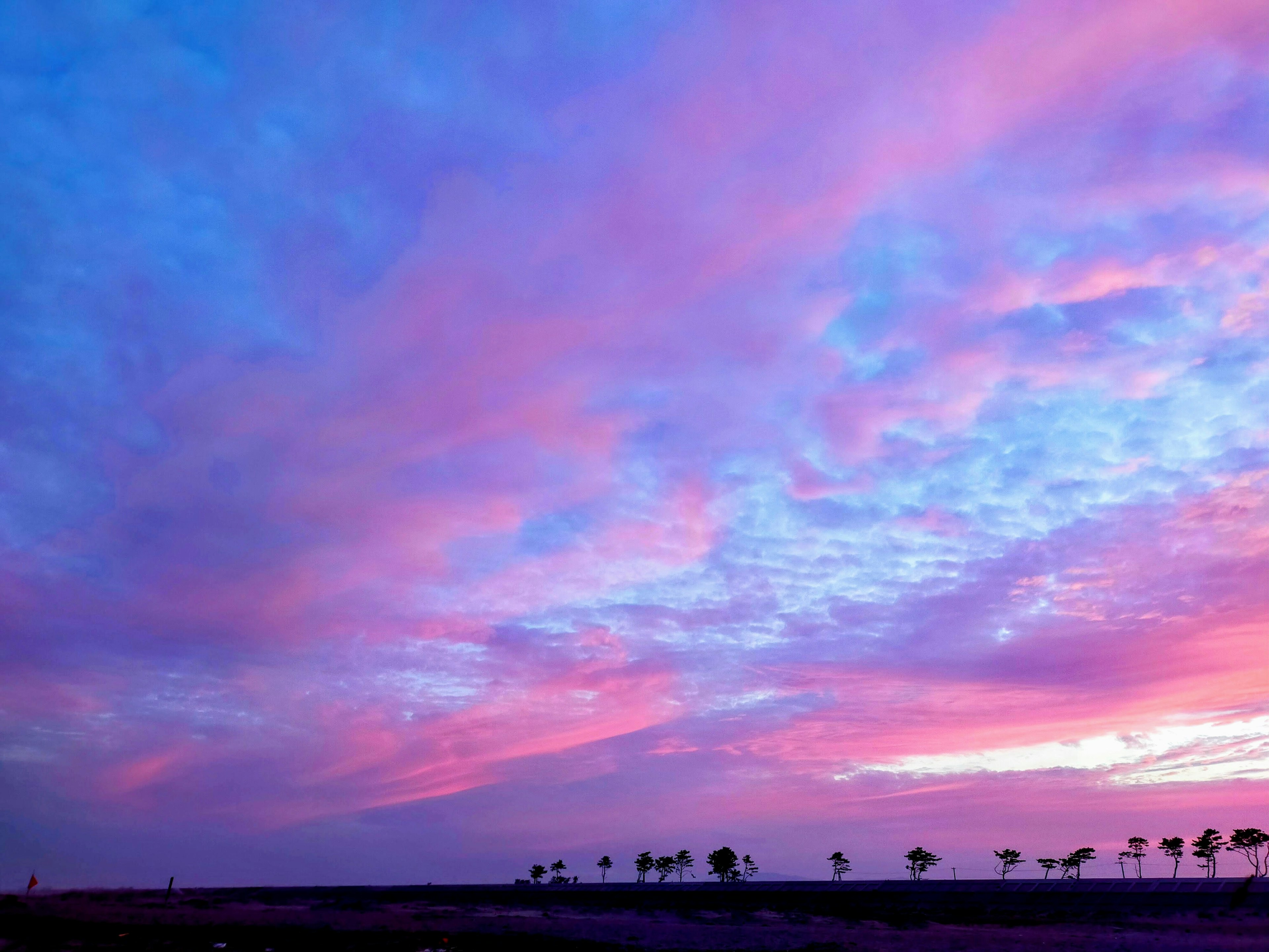 Ciel magnifique en violet et bleu avec des nuages et des arbres en silhouette