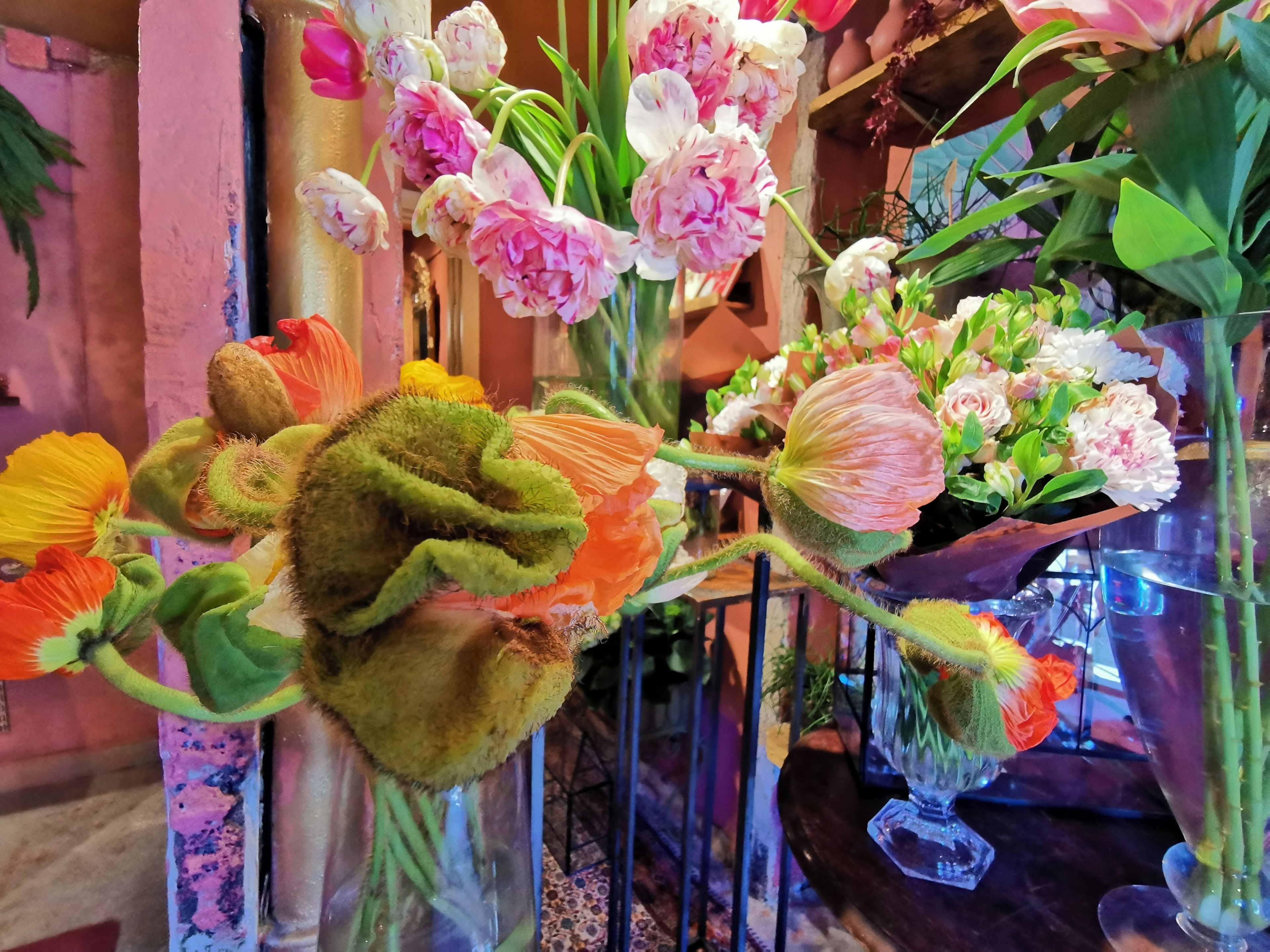 Un arrangement vibrant de fleurs colorées dans un cadre décoratif