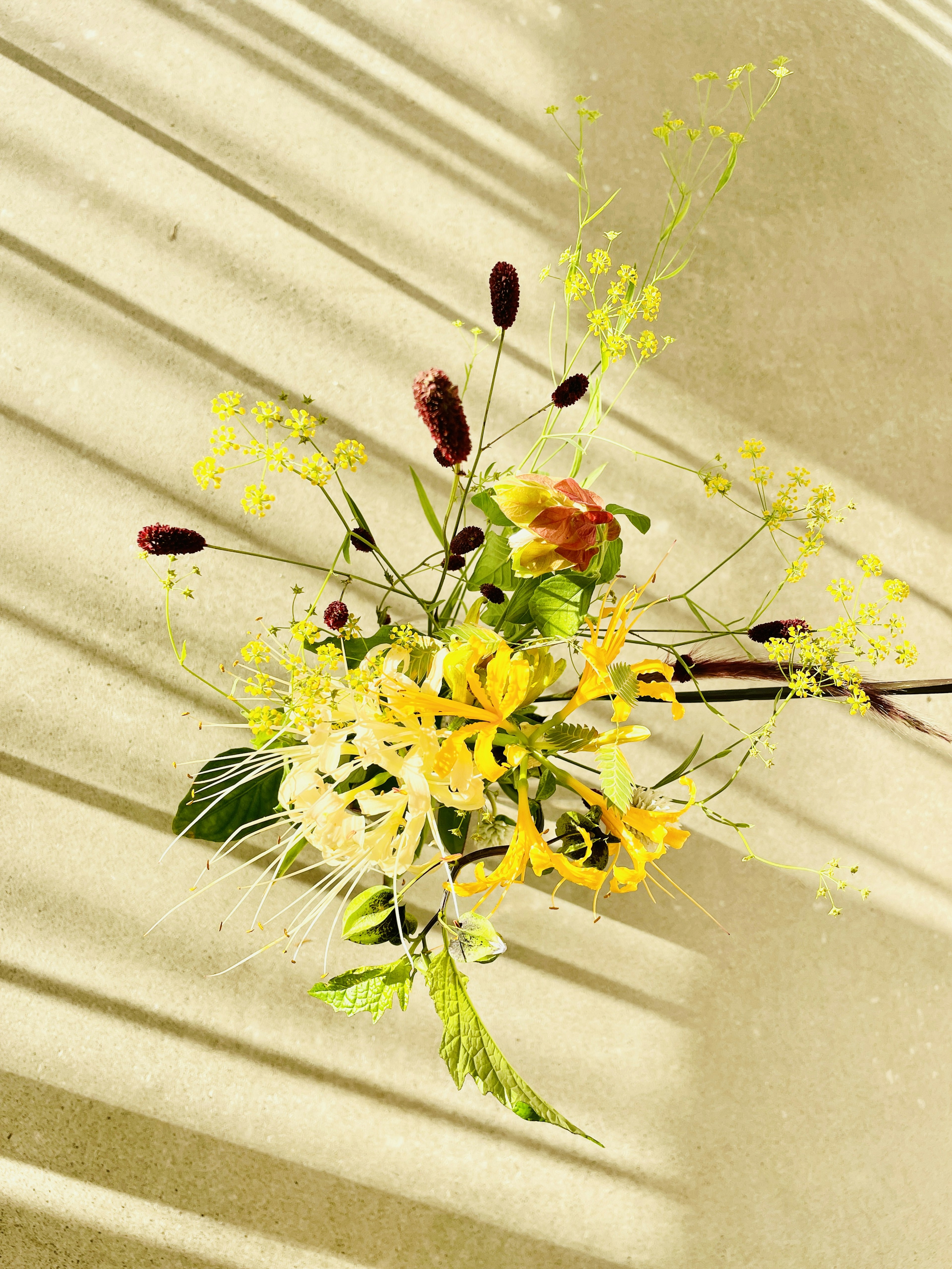 A vibrant bouquet featuring yellow flowers and green leaves casting shadows