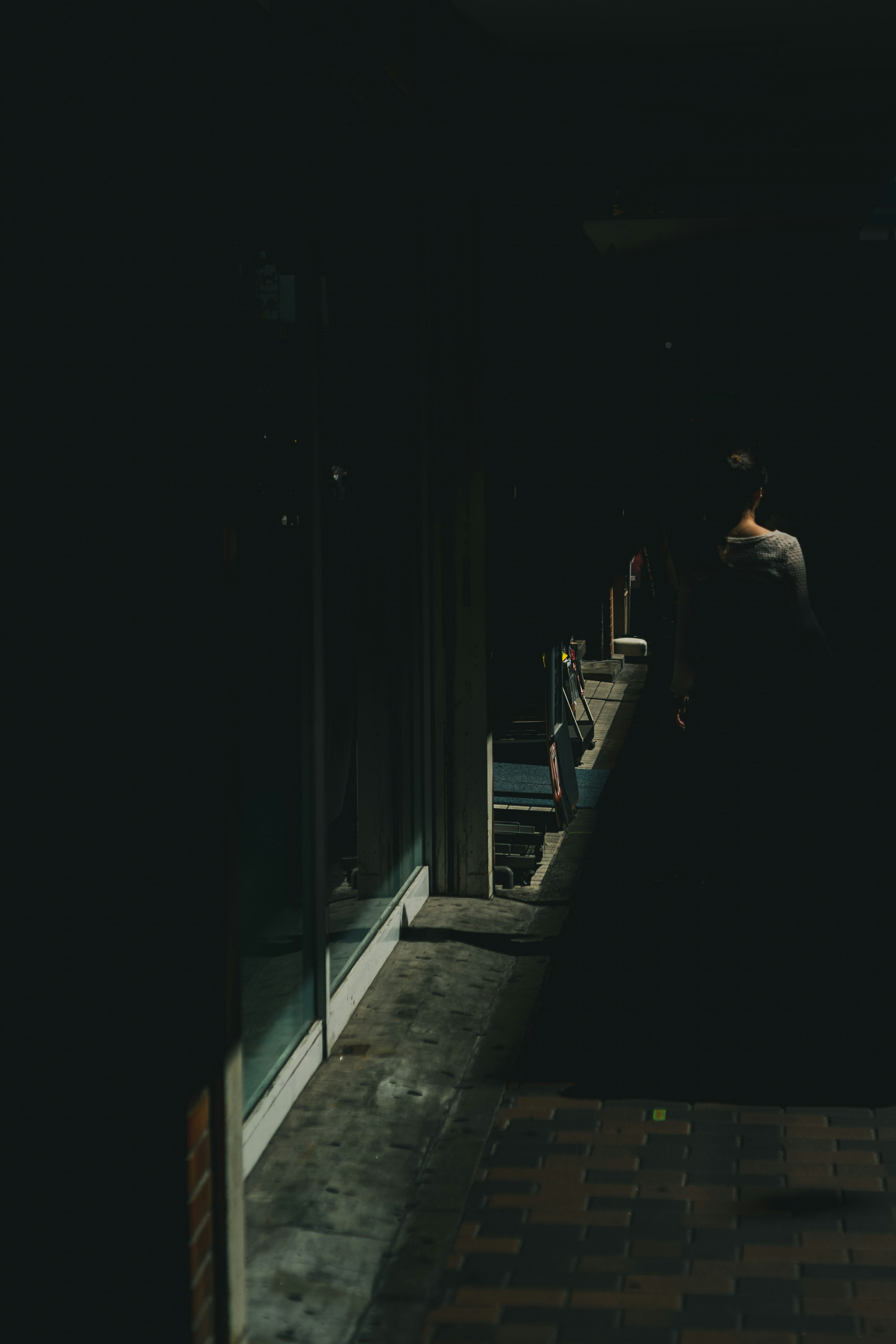 Silhouette of a person standing in a dark corridor with surrounding shadows