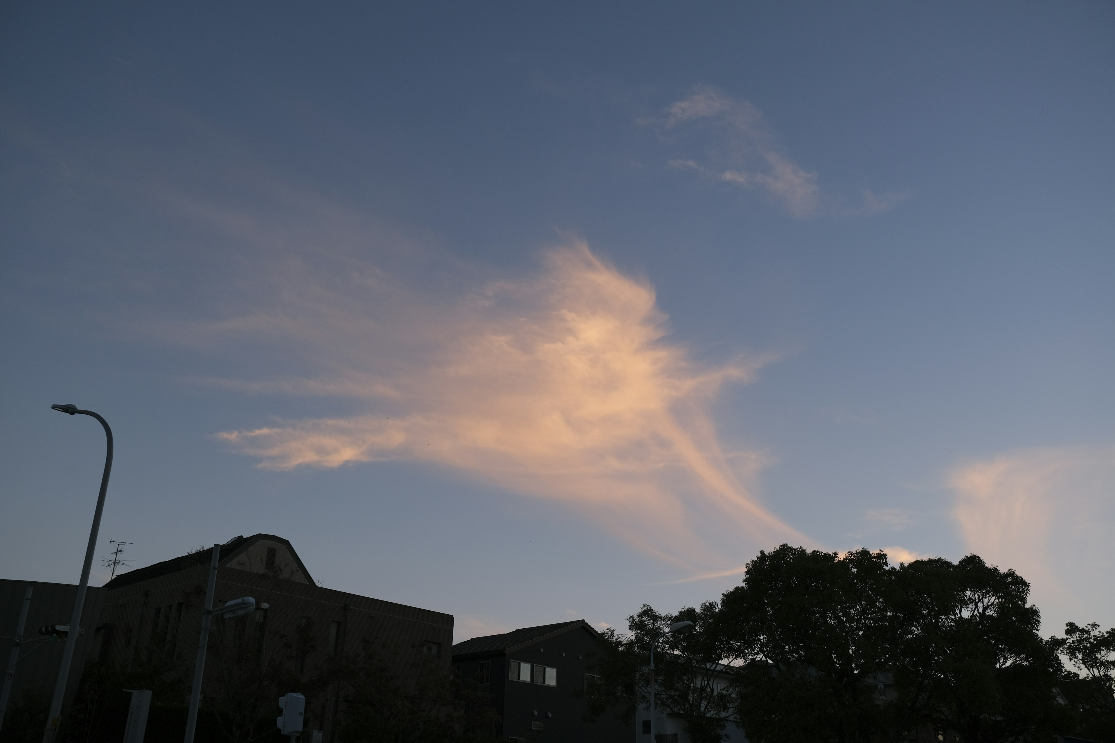 青い空に現れた雲の形が鳥のように見える