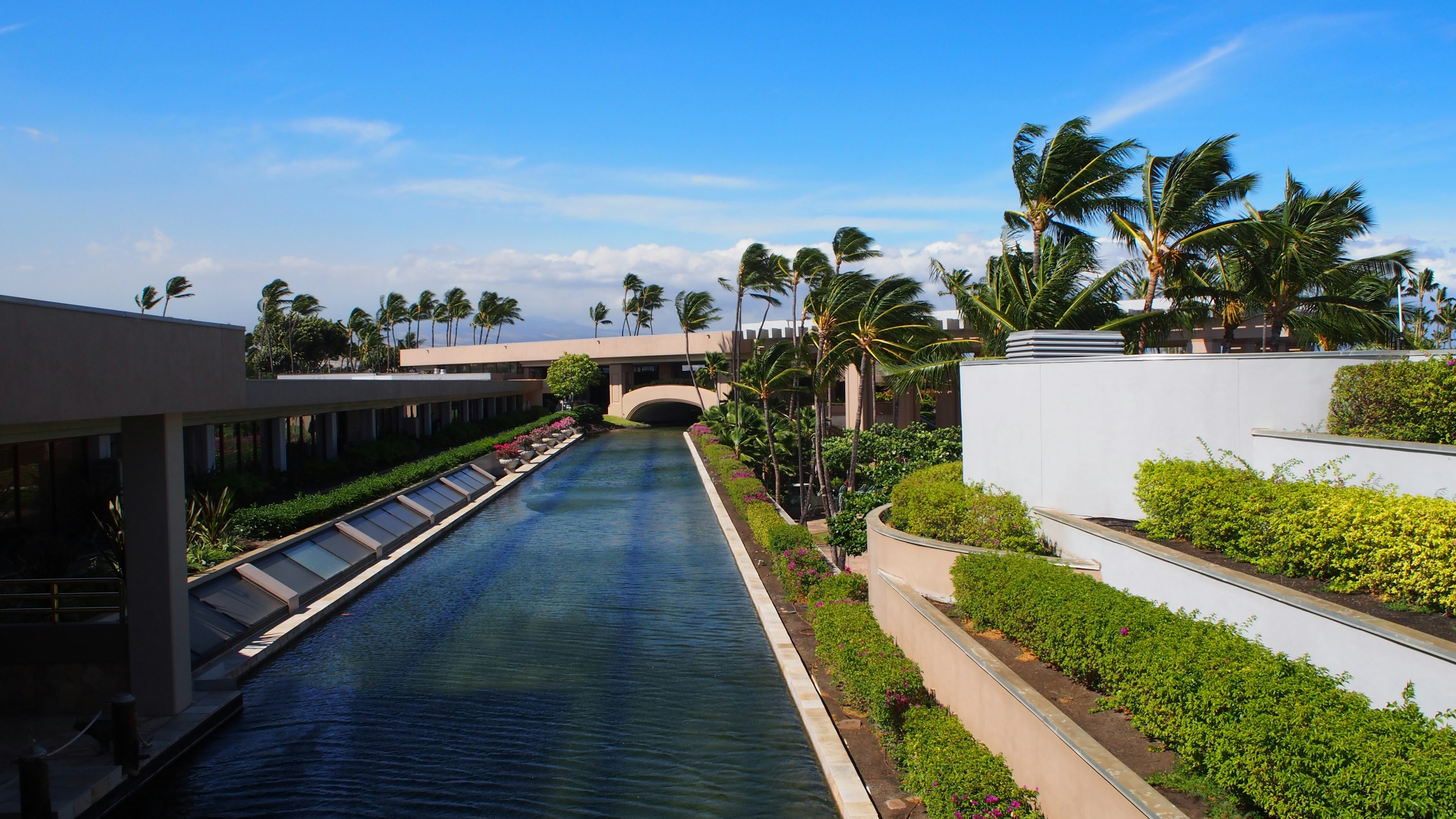 Canal under blue sky with lush greenery