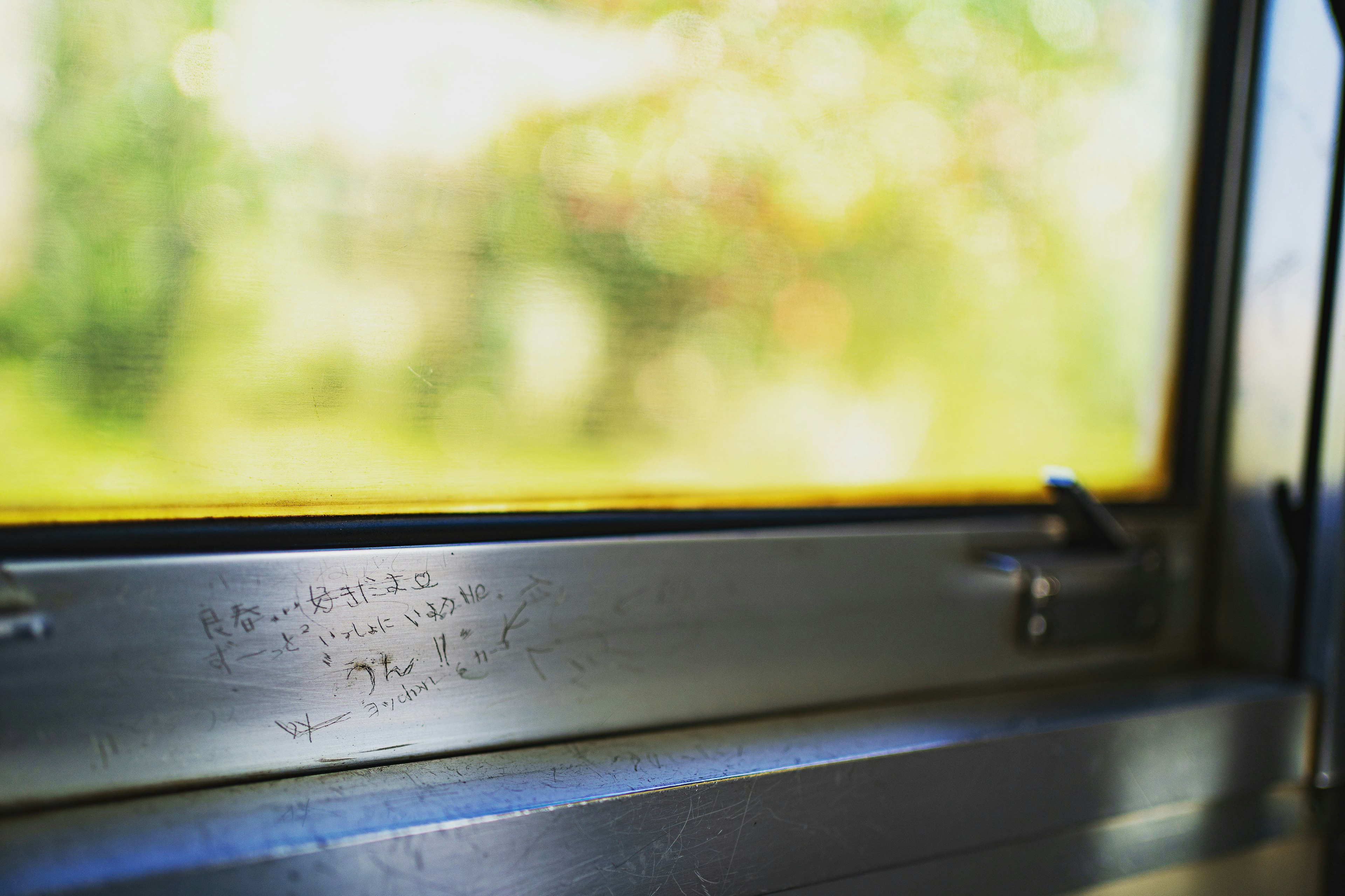 Close-up of a metal window frame with a blurred green background