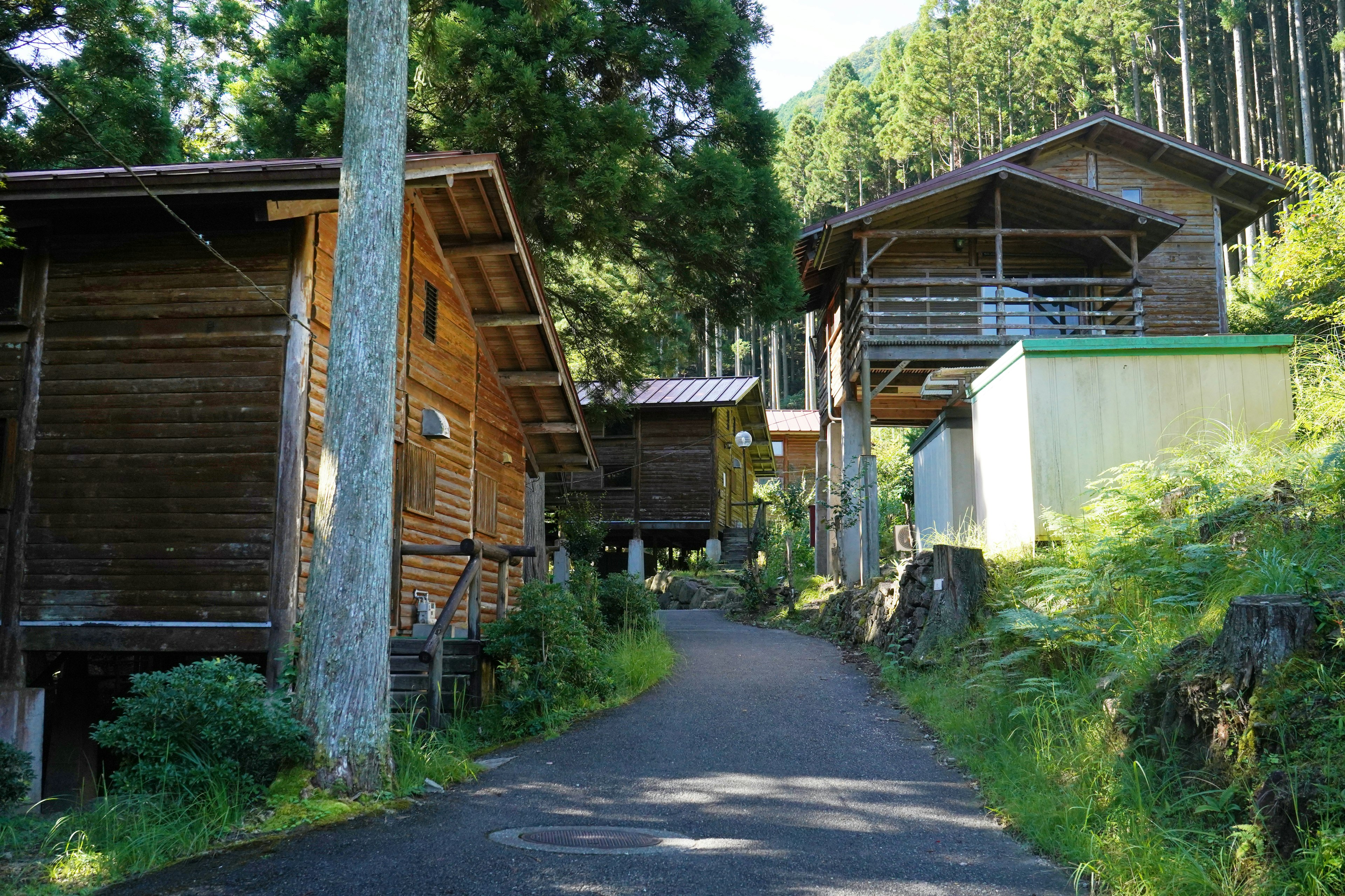 Wooden cottages and houses along a path surrounded by forest