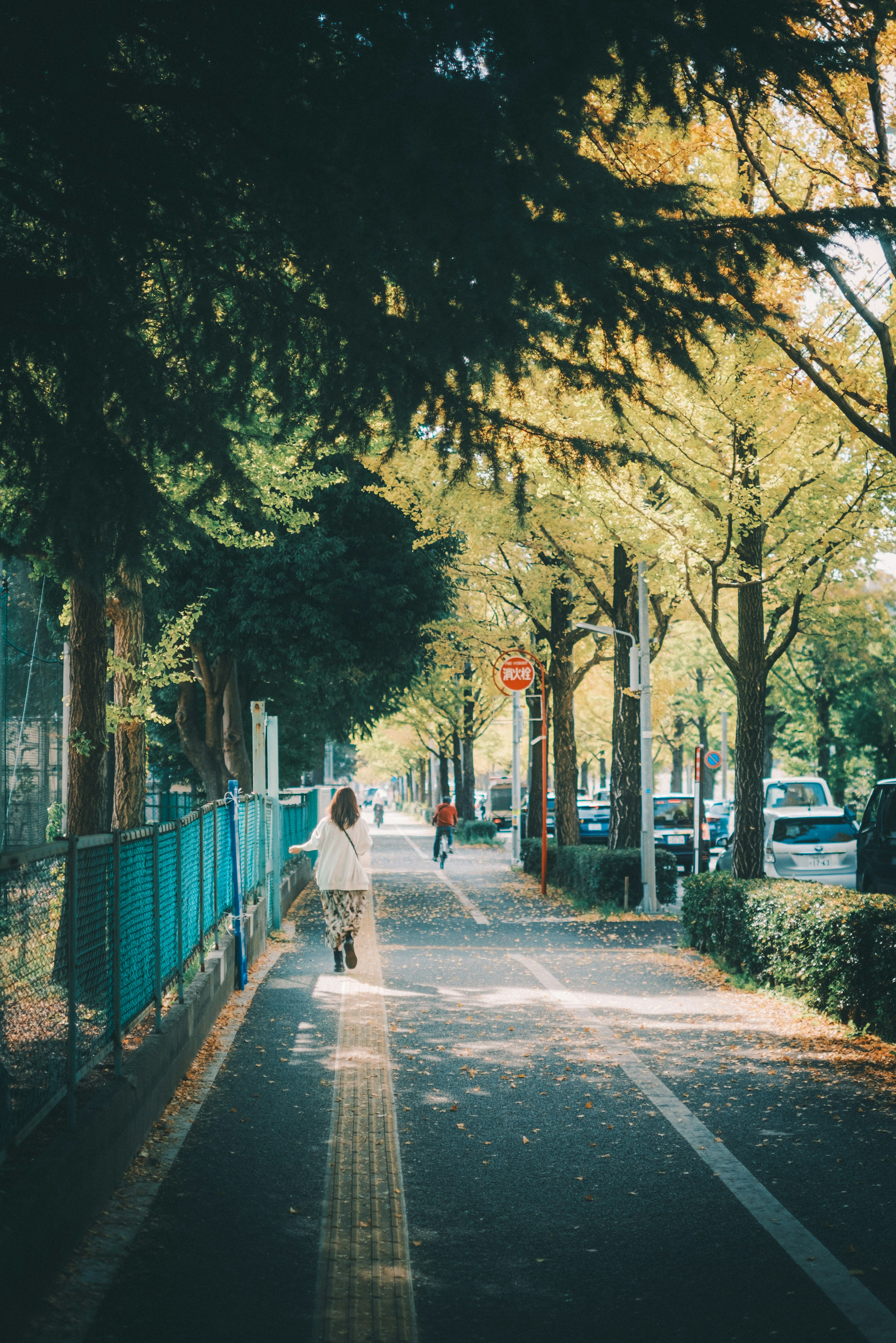 緑の木々に囲まれた歩道を散歩する人々