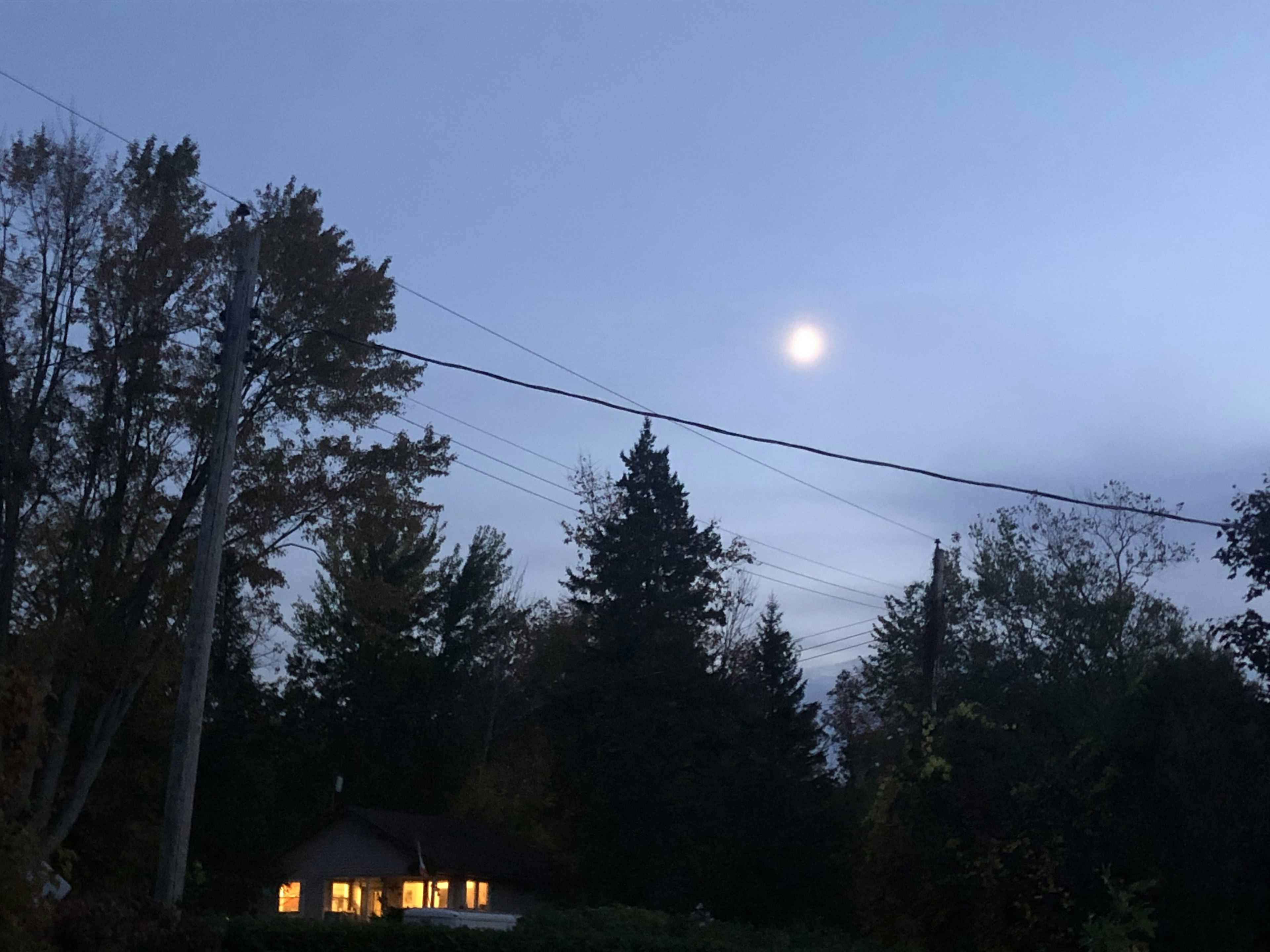 月明かりが照らす夜空と木々のシルエットがある静かな風景