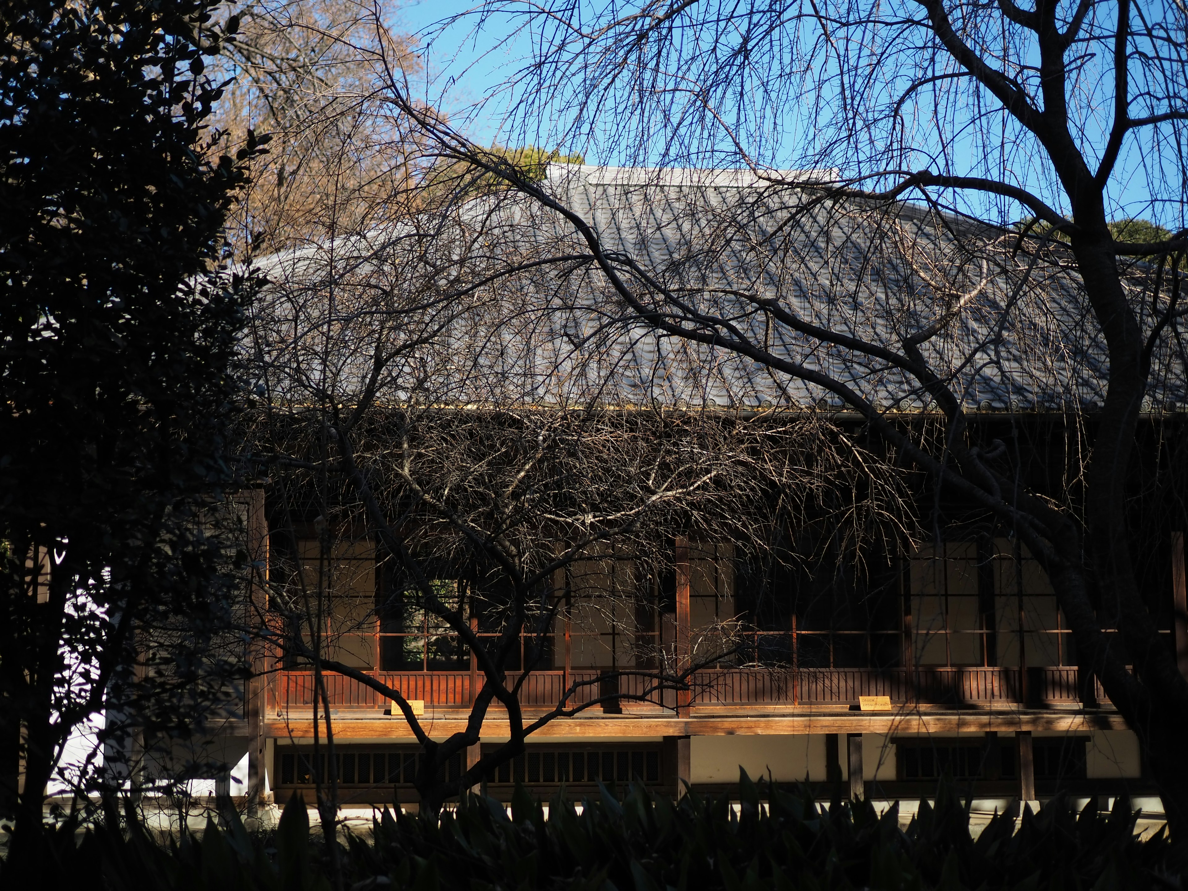 Traditional Japanese house partially hidden among trees under a blue sky