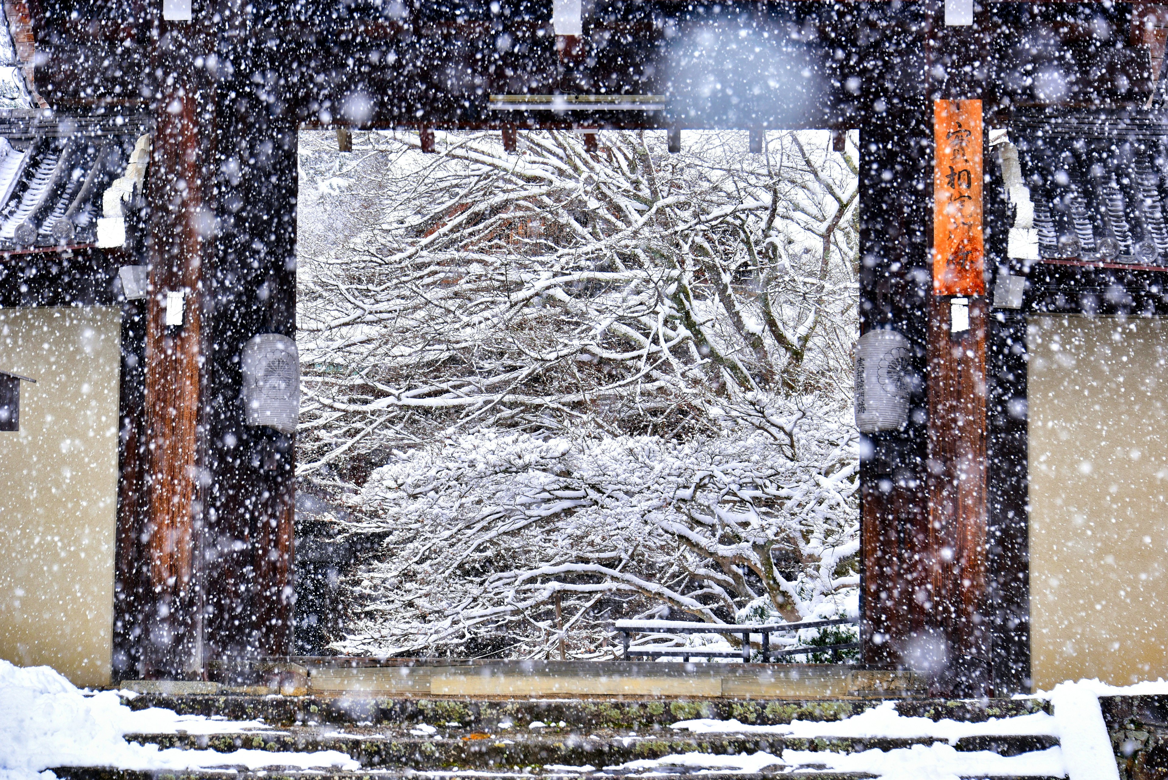 Traditionelles japanisches Tor, umrahmt von fallendem Schnee und weißen Bäumen