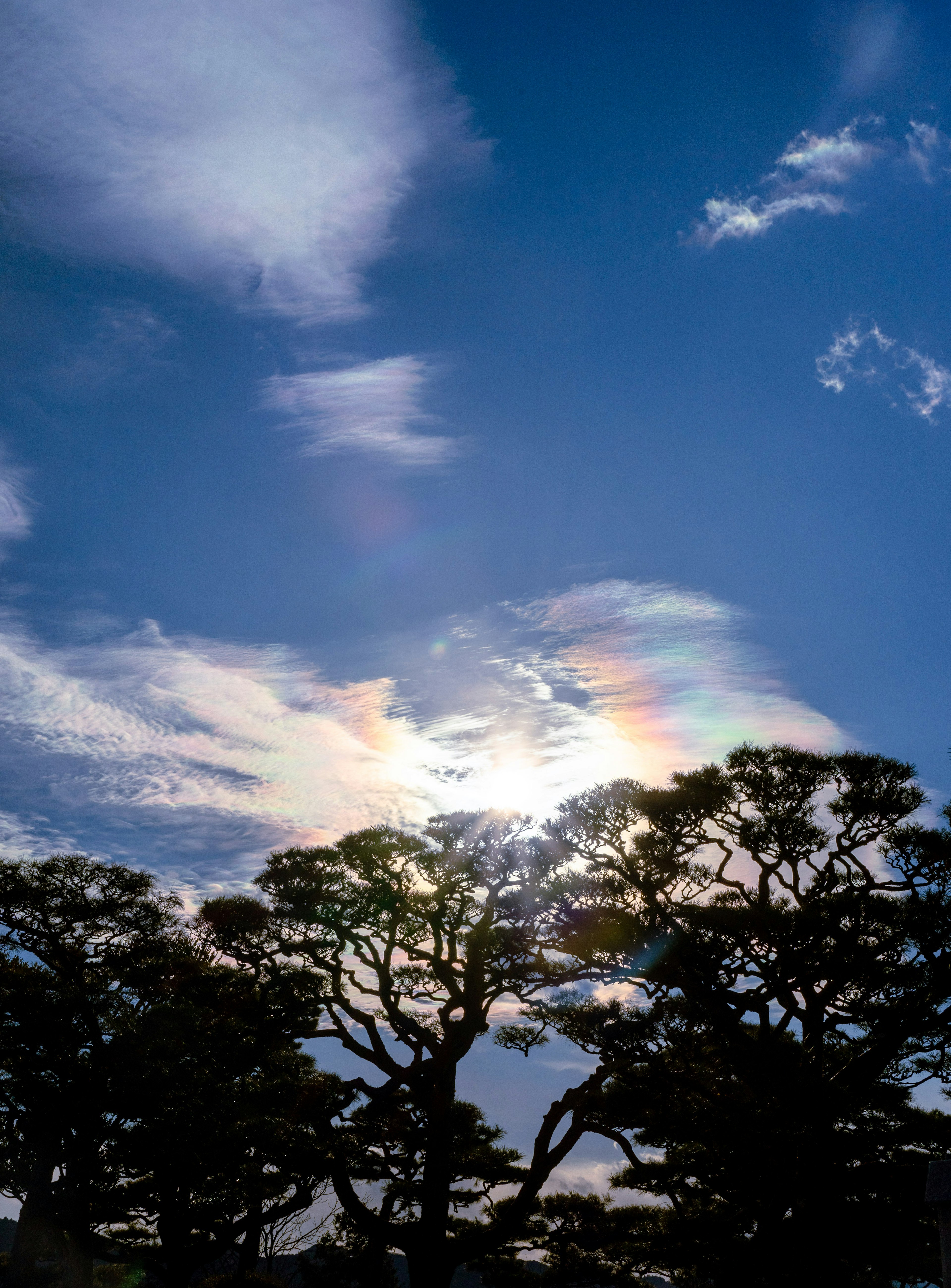 Landscape featuring the sun and rainbow-colored clouds in a blue sky