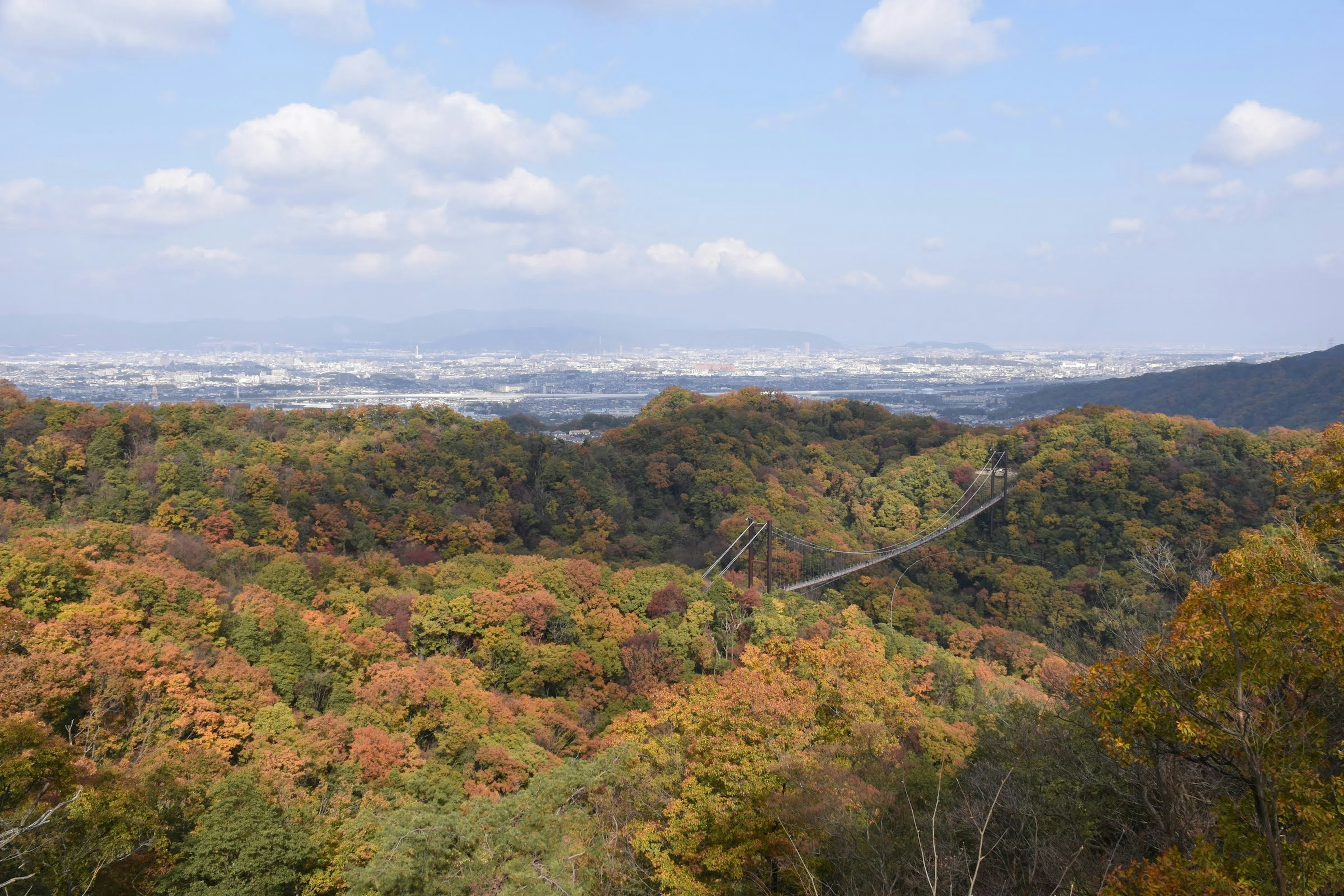 Lebendige Herbstlaub, das Hügel mit einer fernen Stadtsilhouette bedeckt