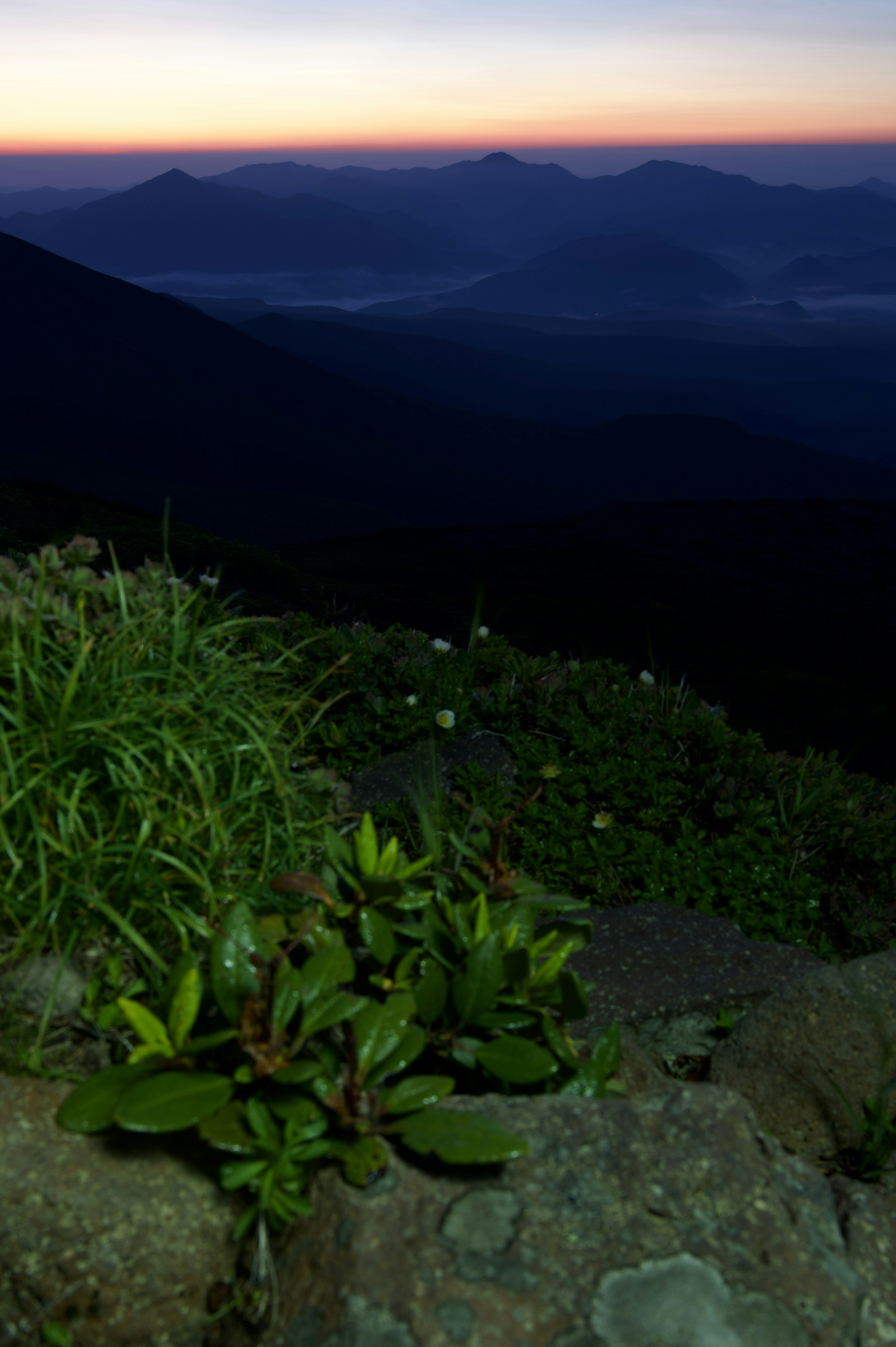 Mountain landscape at sunset with lush green plants