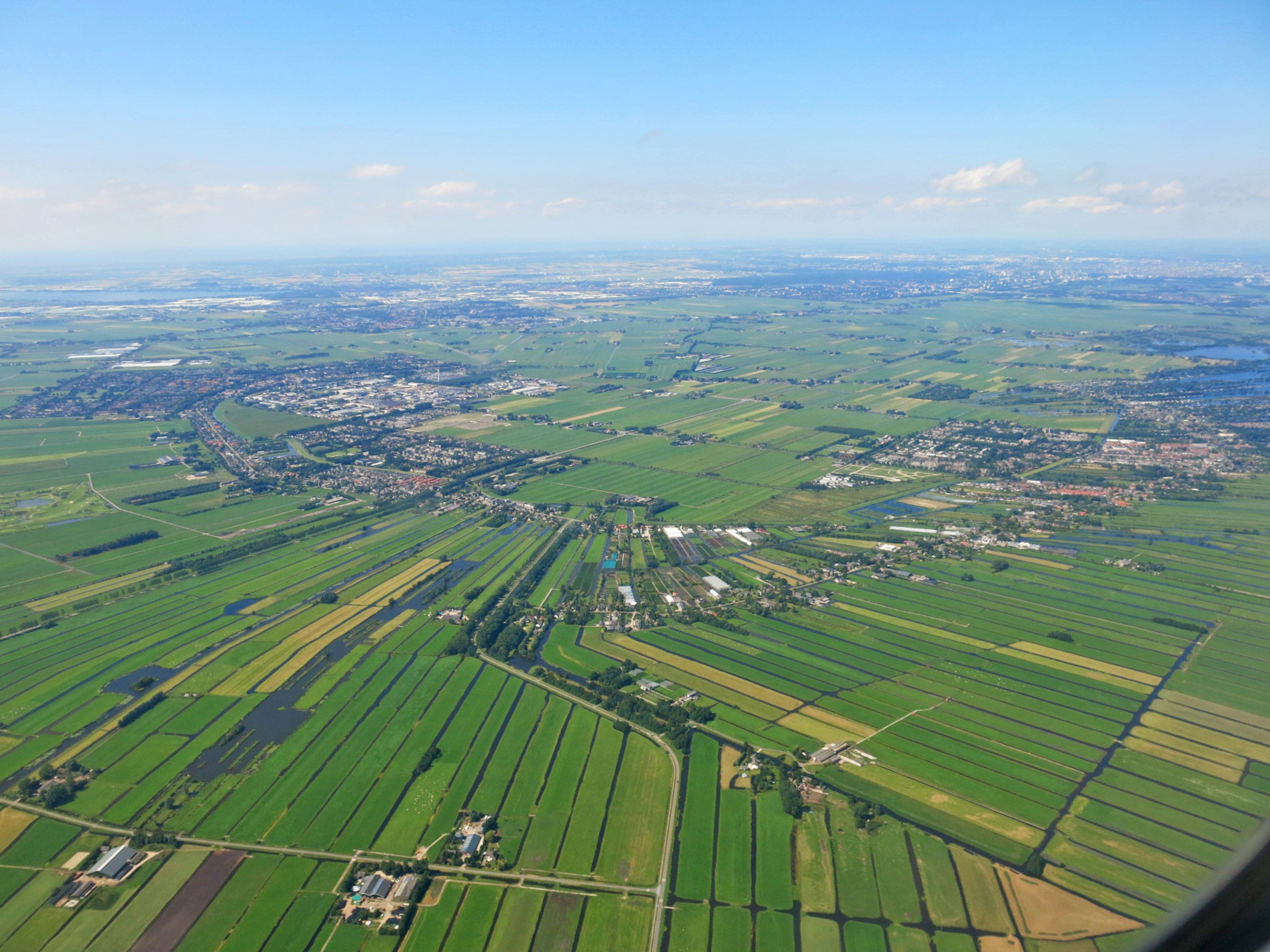 Pemandangan udara ladang hijau subur di bawah langit biru