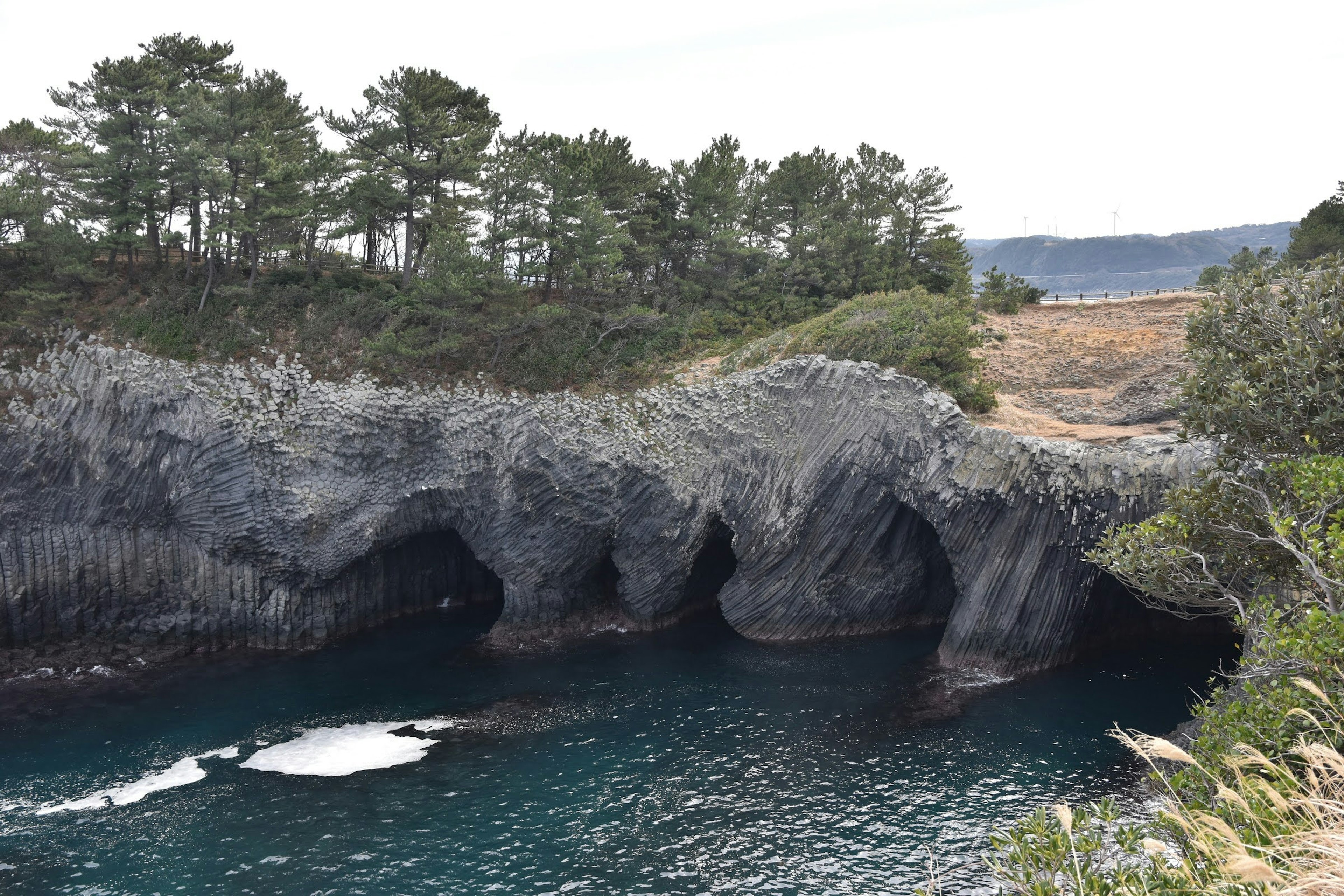 海岸岩石與樹木俯瞰藍色水面