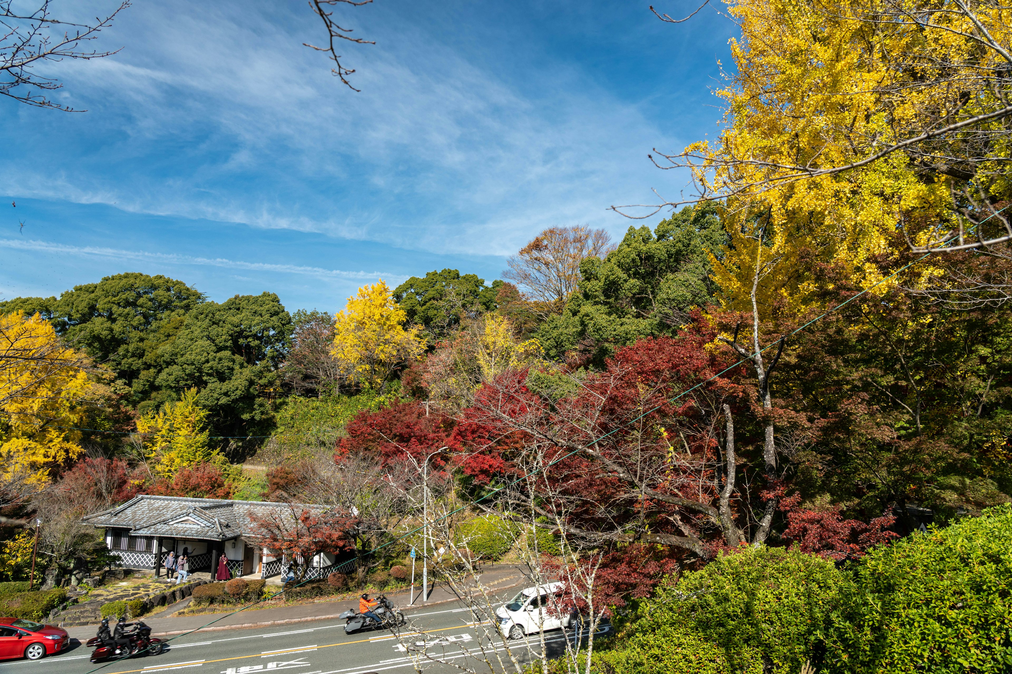 色とりどりの木々と青空の風景に囲まれた小さな家