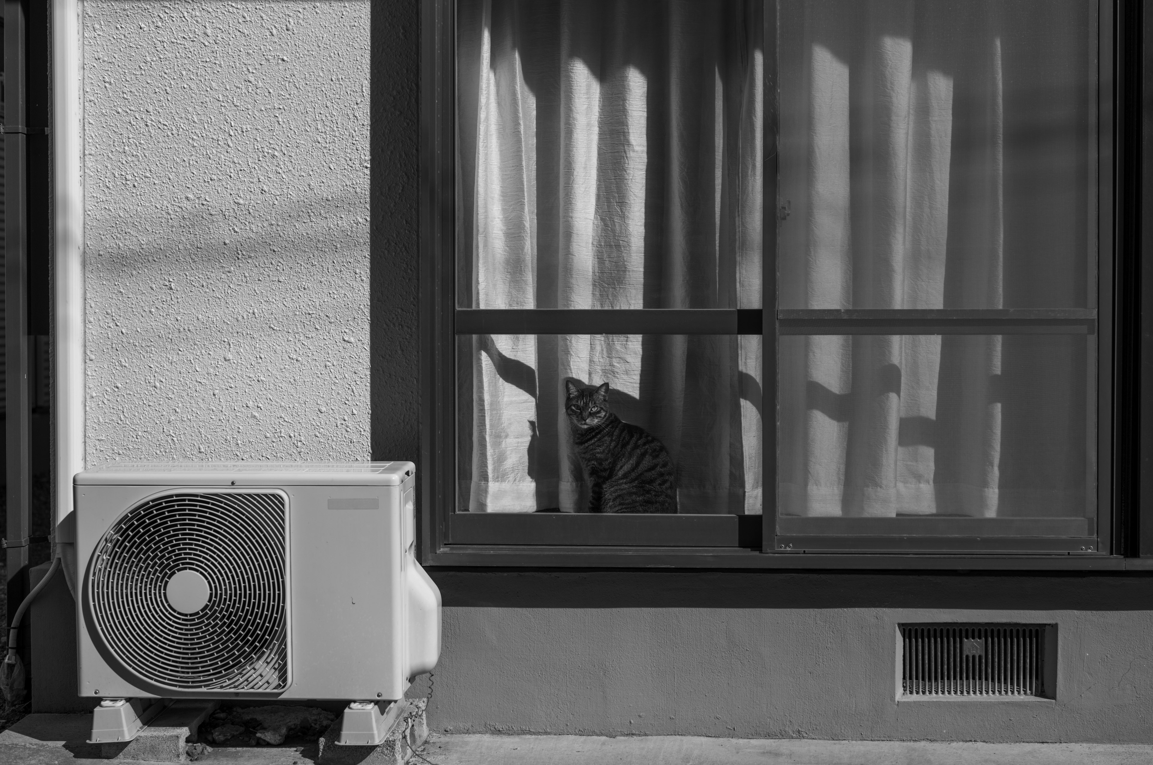 Black and white photo of a cat looking out the window with an air conditioner