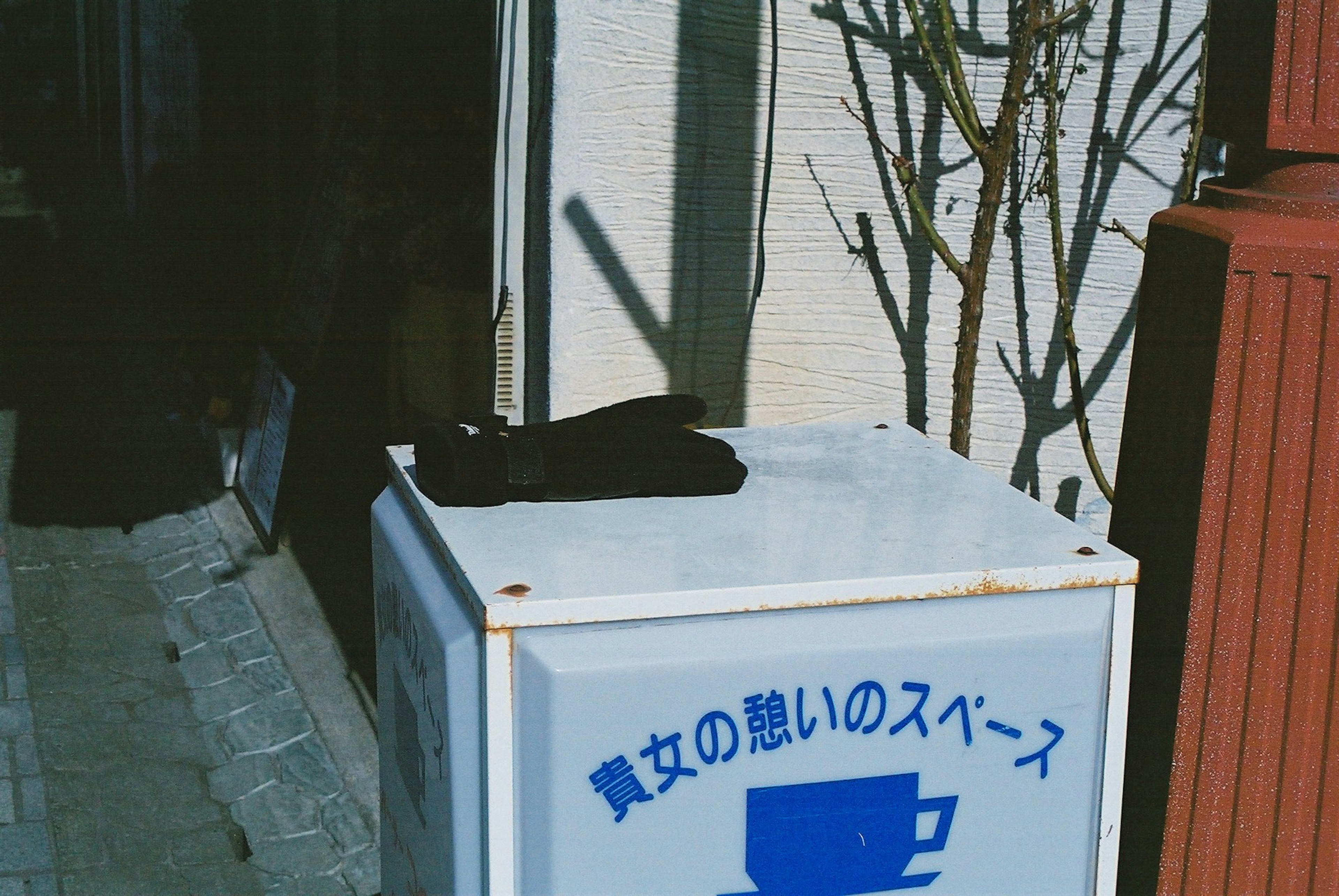 A black cloth resting on a blue trash bin beside a tree branch