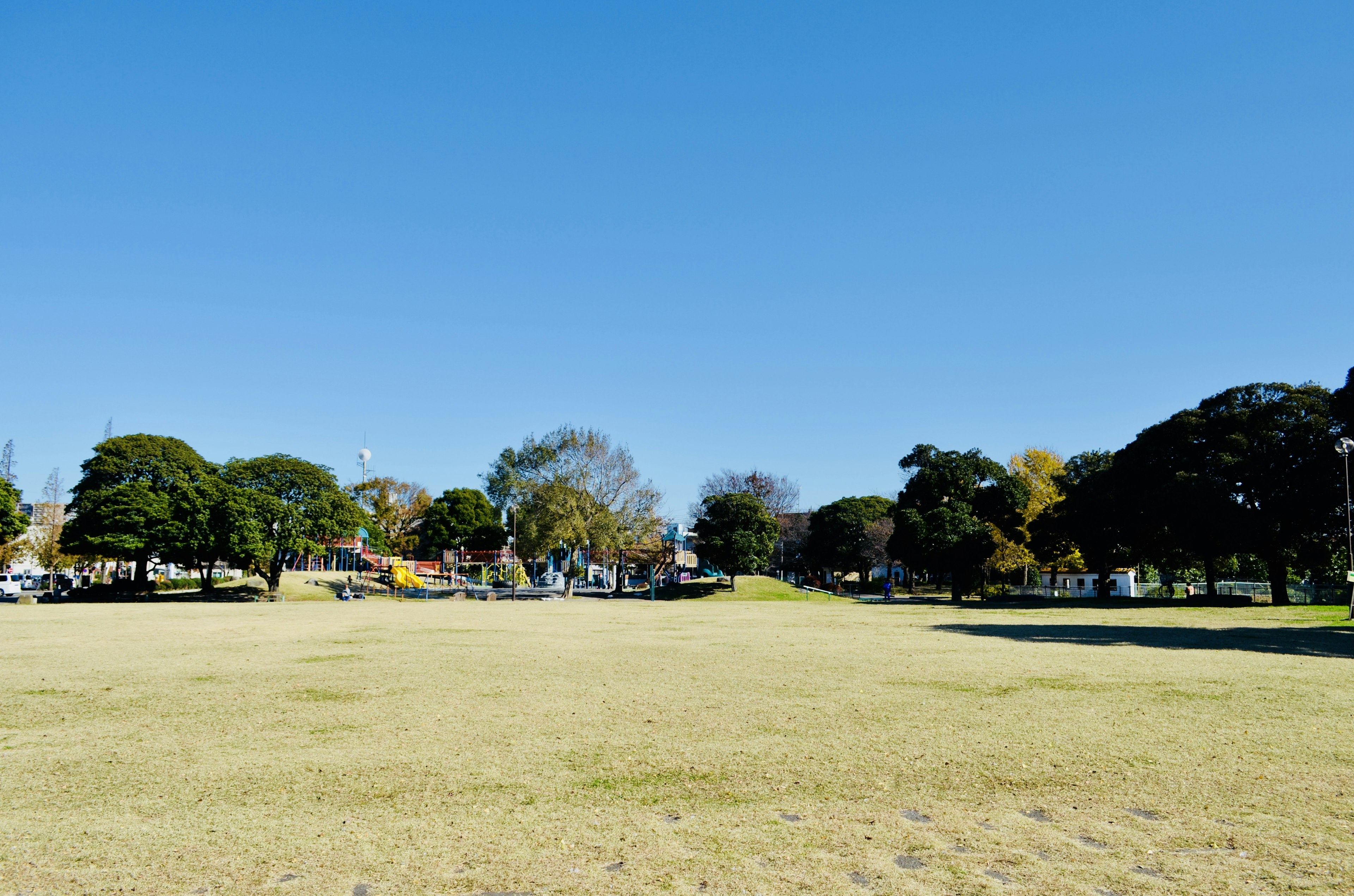 Park landscape under a clear blue sky featuring green trees and open grass