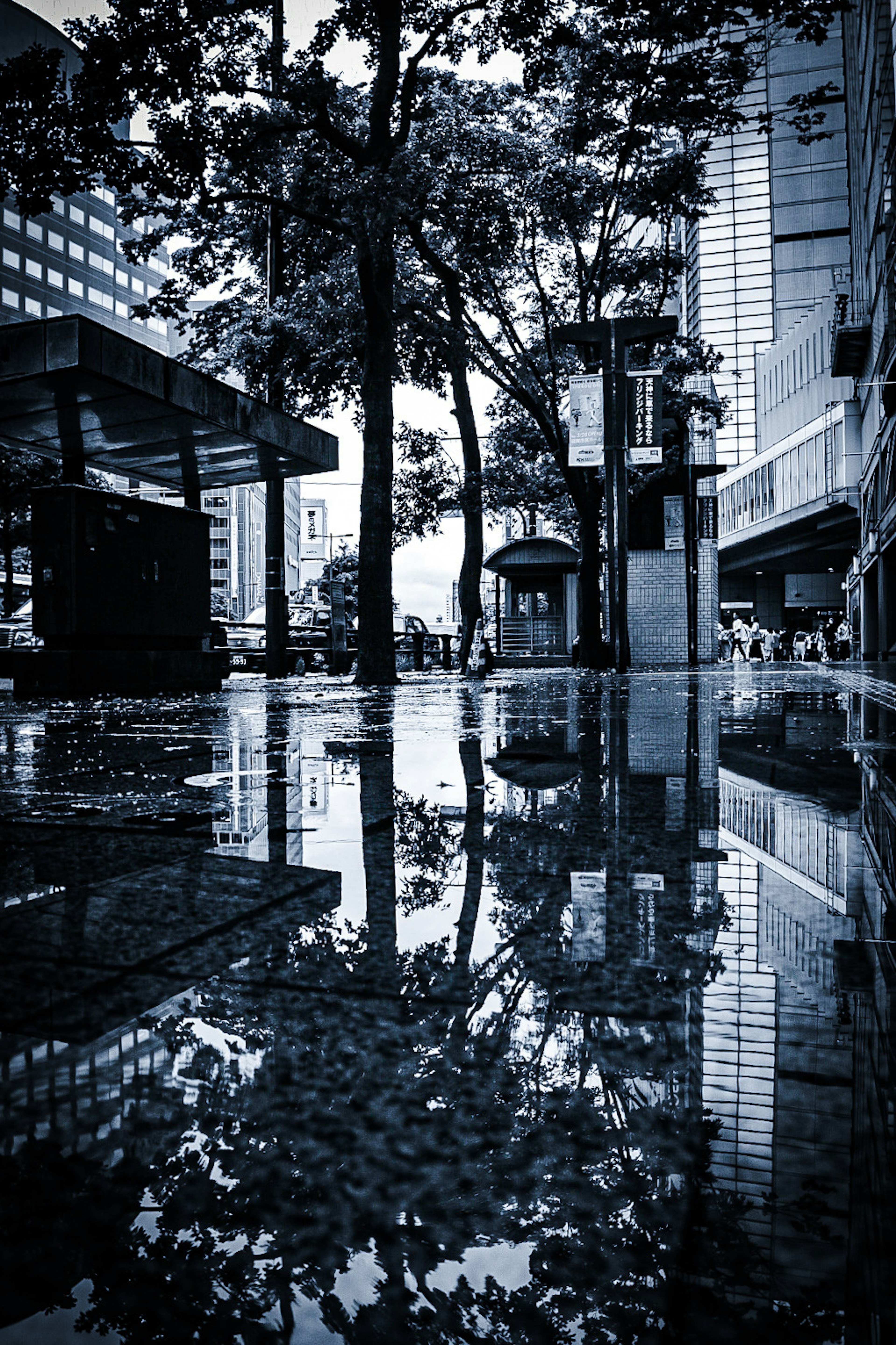 photo-g0DjBn3t5rbpBVsU3Nap-image