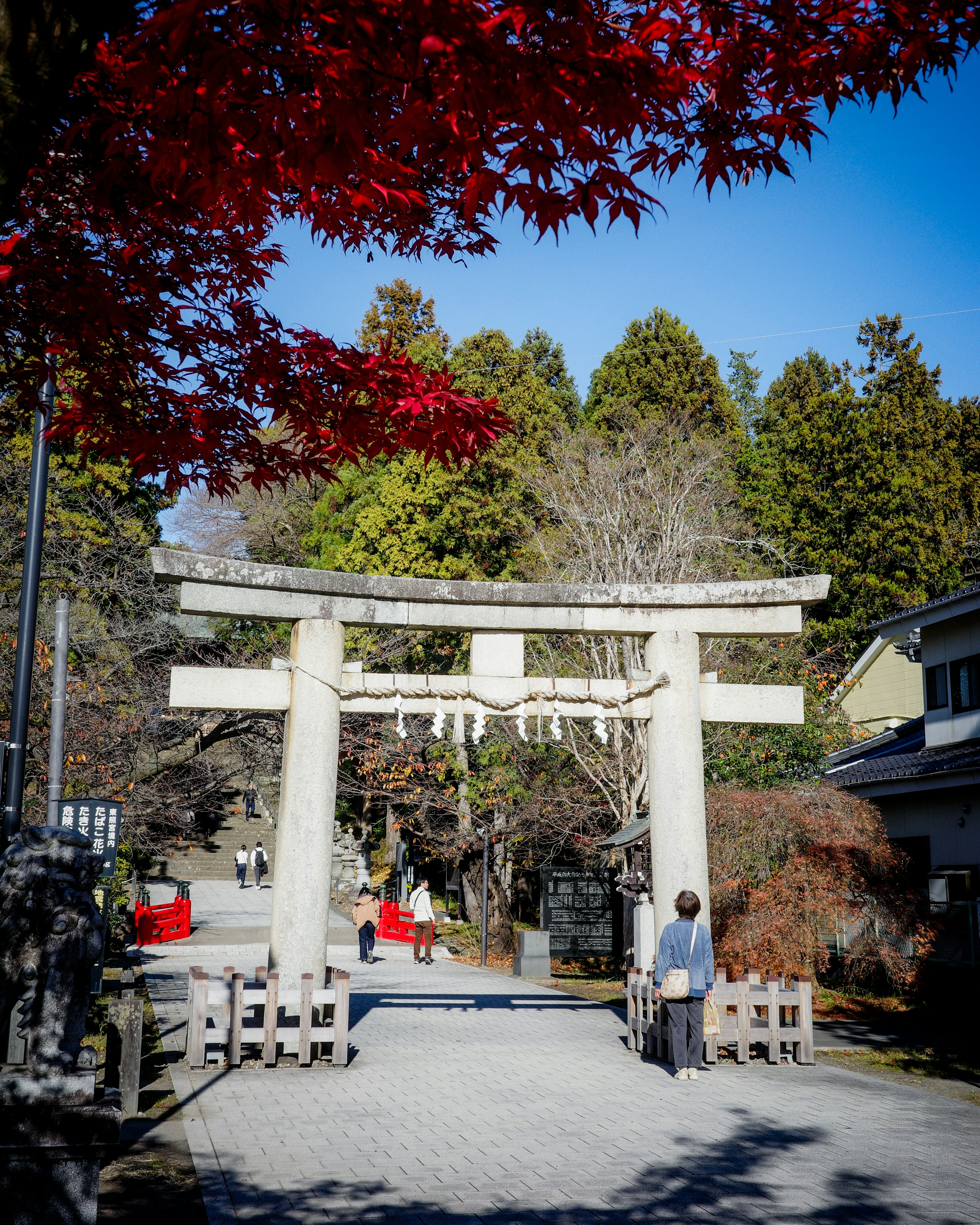 Portale torii circondato da foglie autunnali che conduce a un santuario