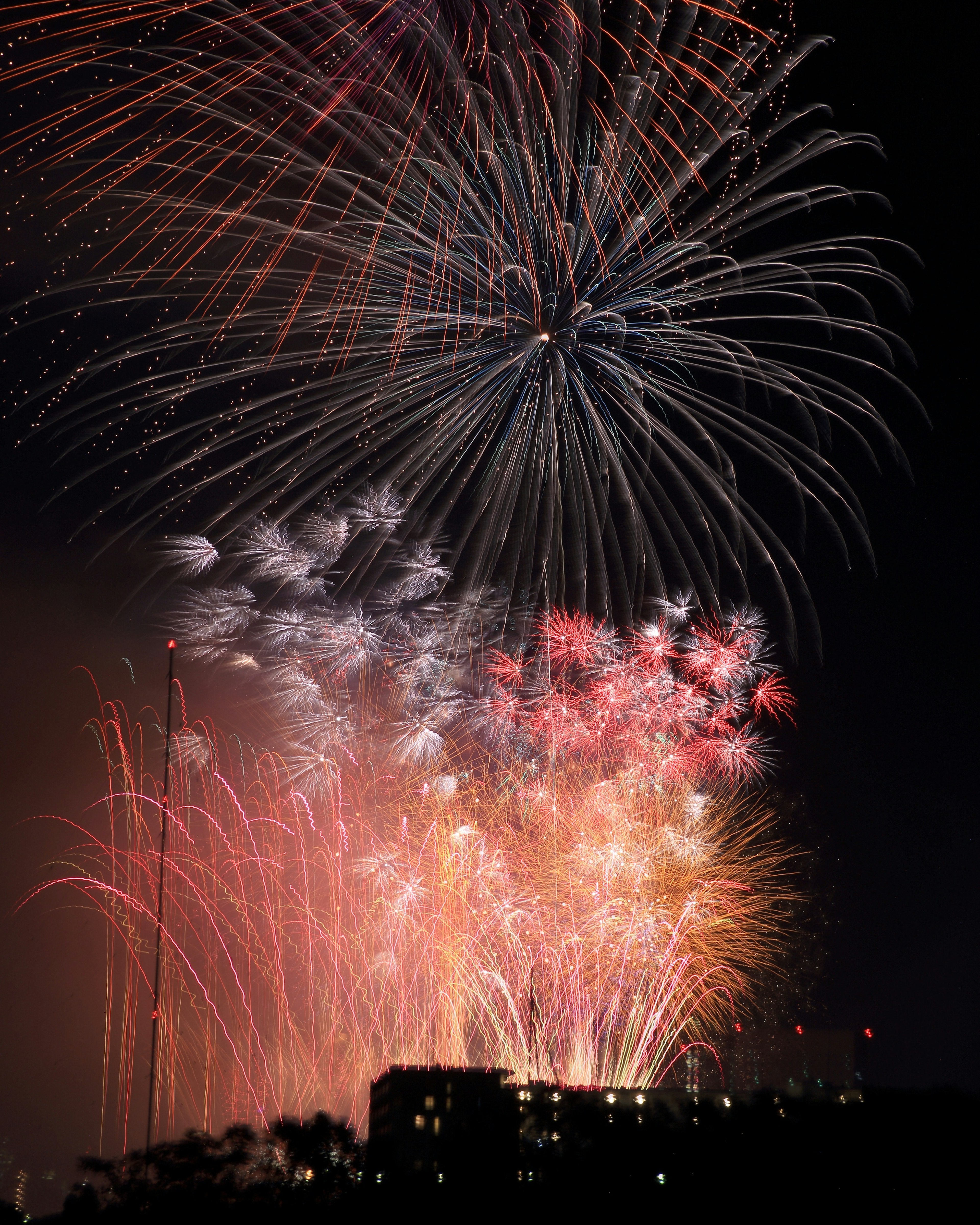 夜空に広がる色とりどりの花火が打ち上げられている