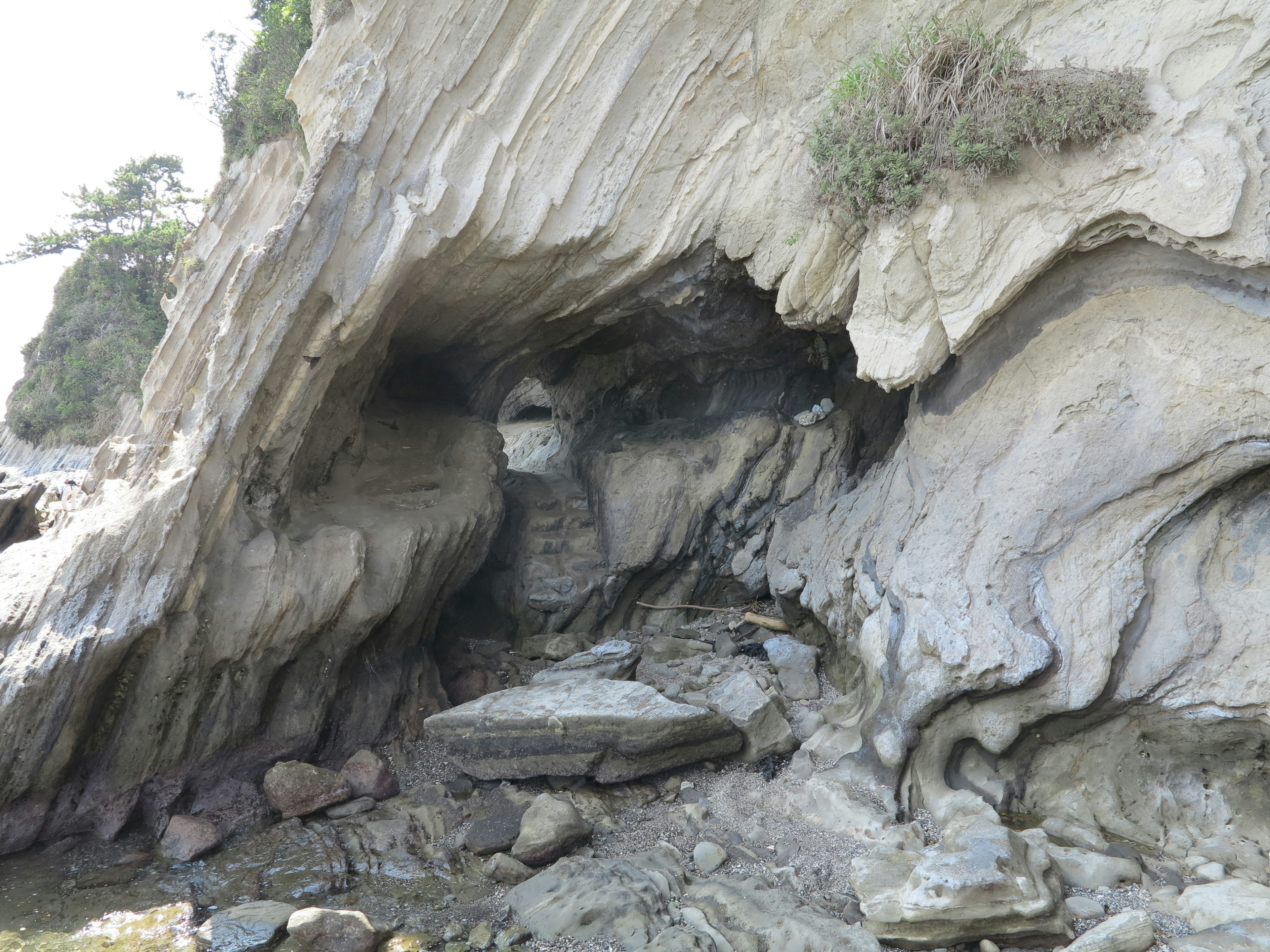 Formation de grotte avec surface rocheuse texturée et végétation côtière