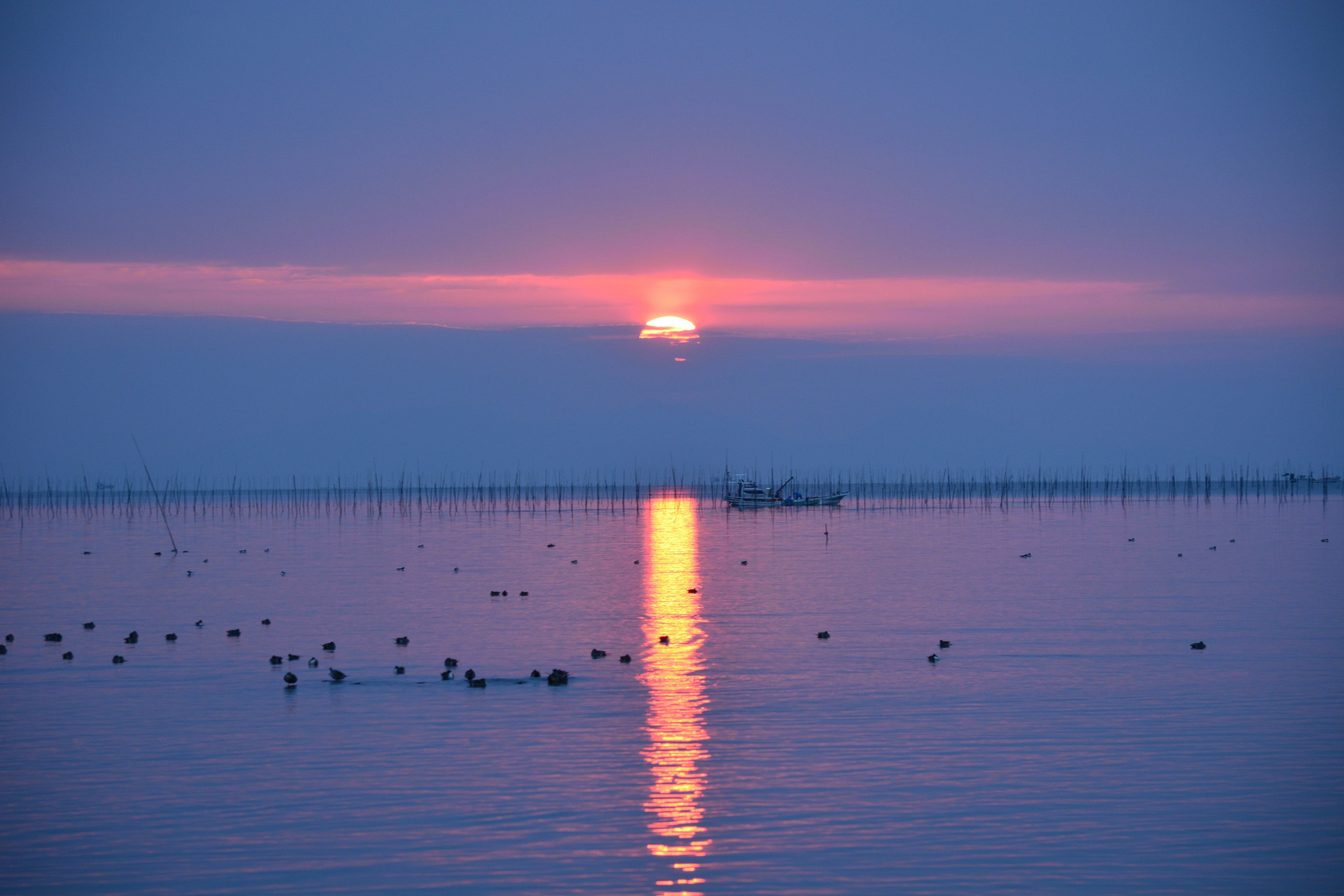 静かな湖面に映る夕日と穏やかな水面の色合い