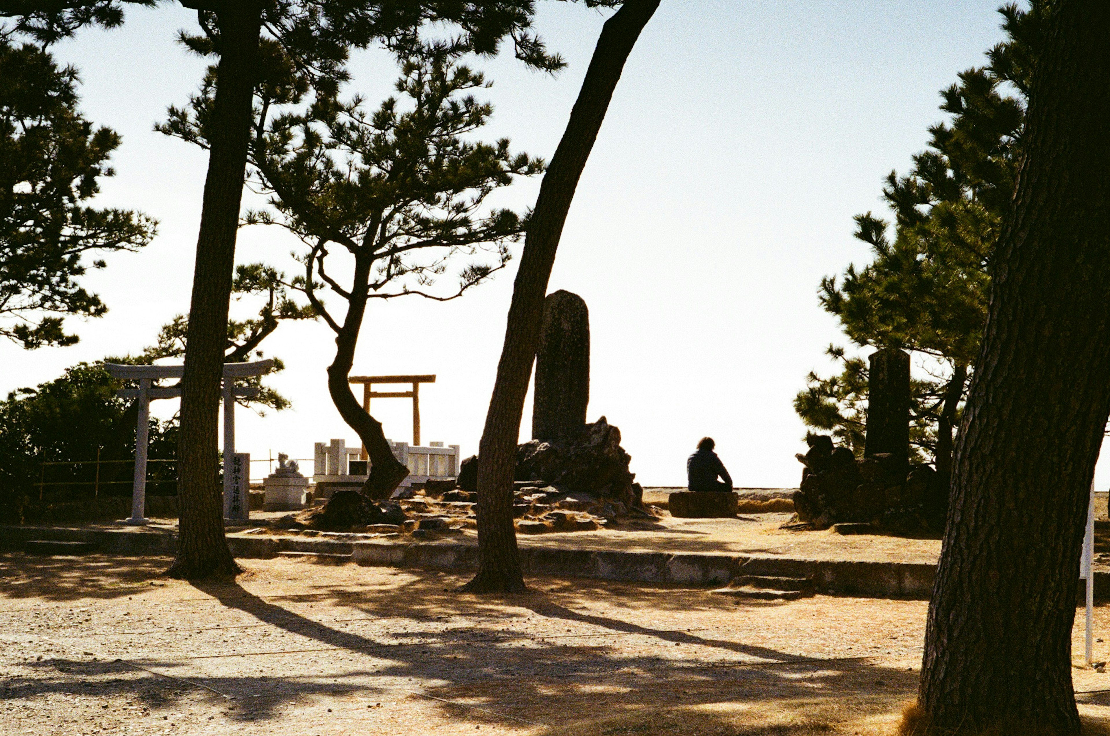 Paisaje sereno con estatuas de piedra y árboles en un parque