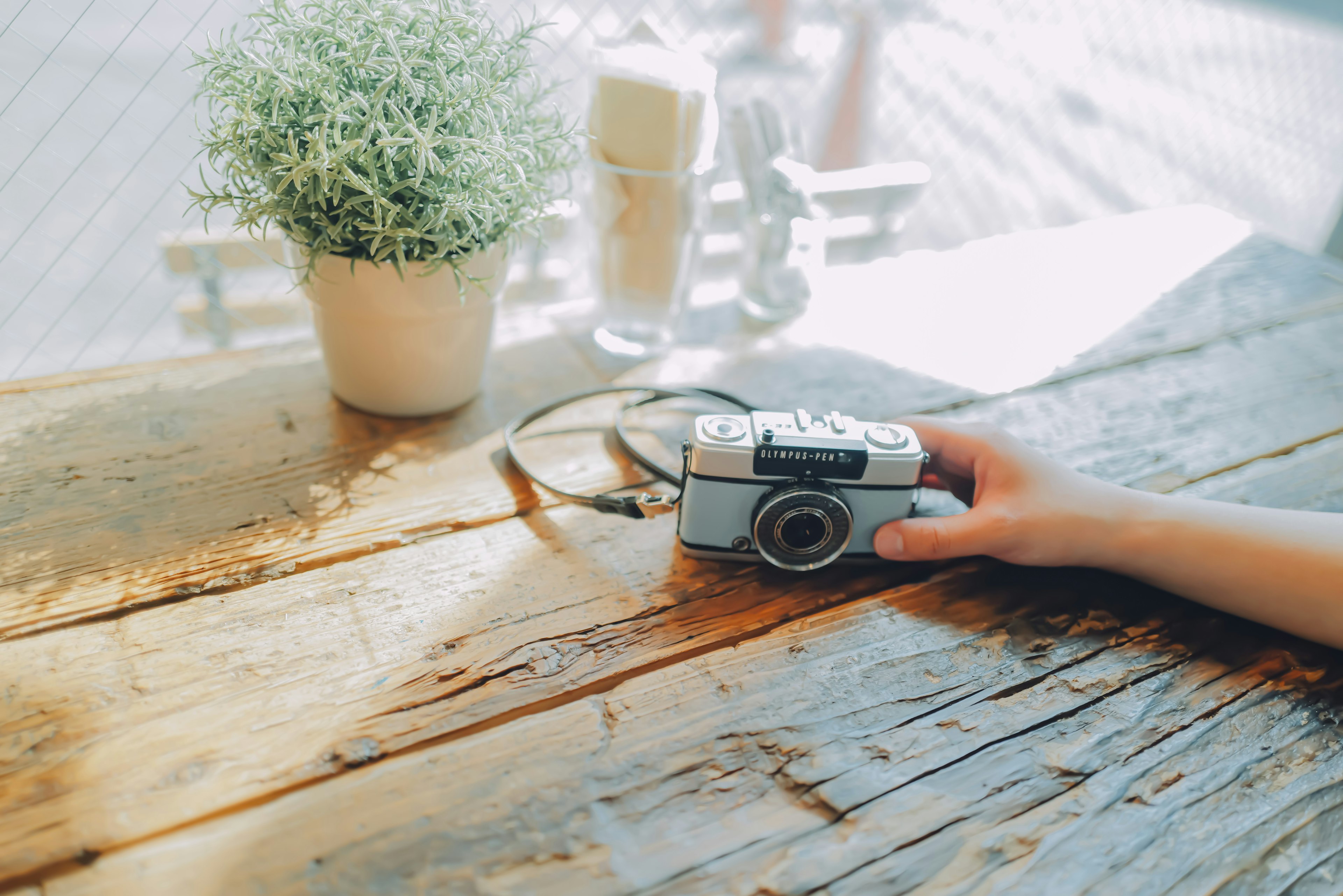 A camera and a potted plant on a wooden table