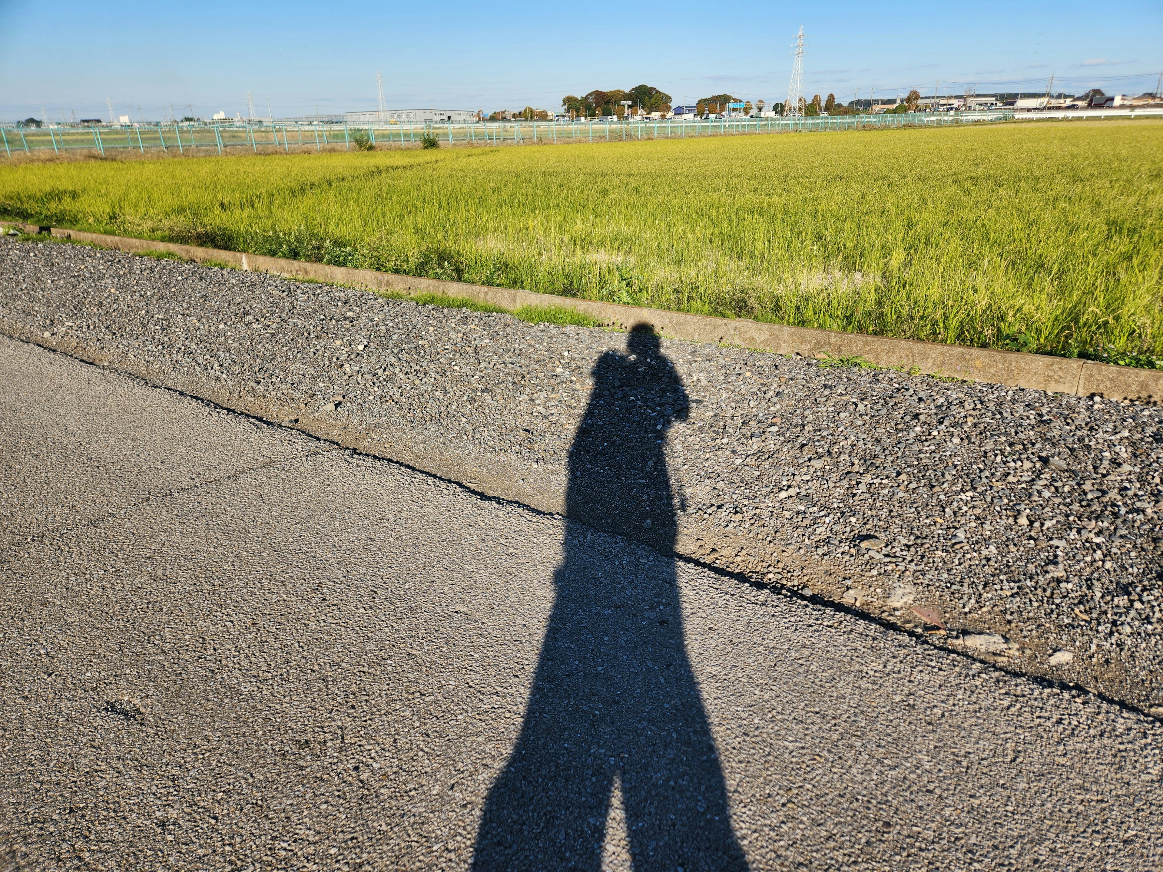 田んぼの横に立つ人の影と青空