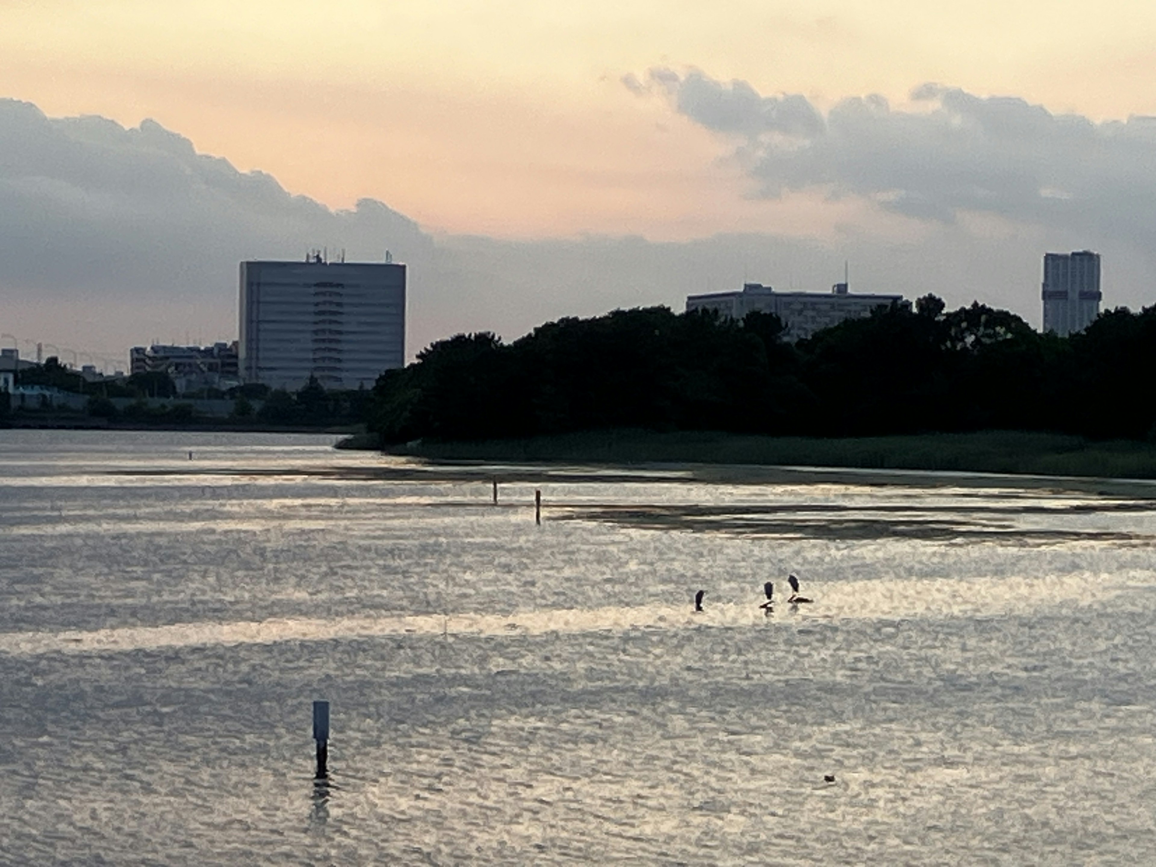 Vista escénica de un río al atardecer con siluetas de edificios