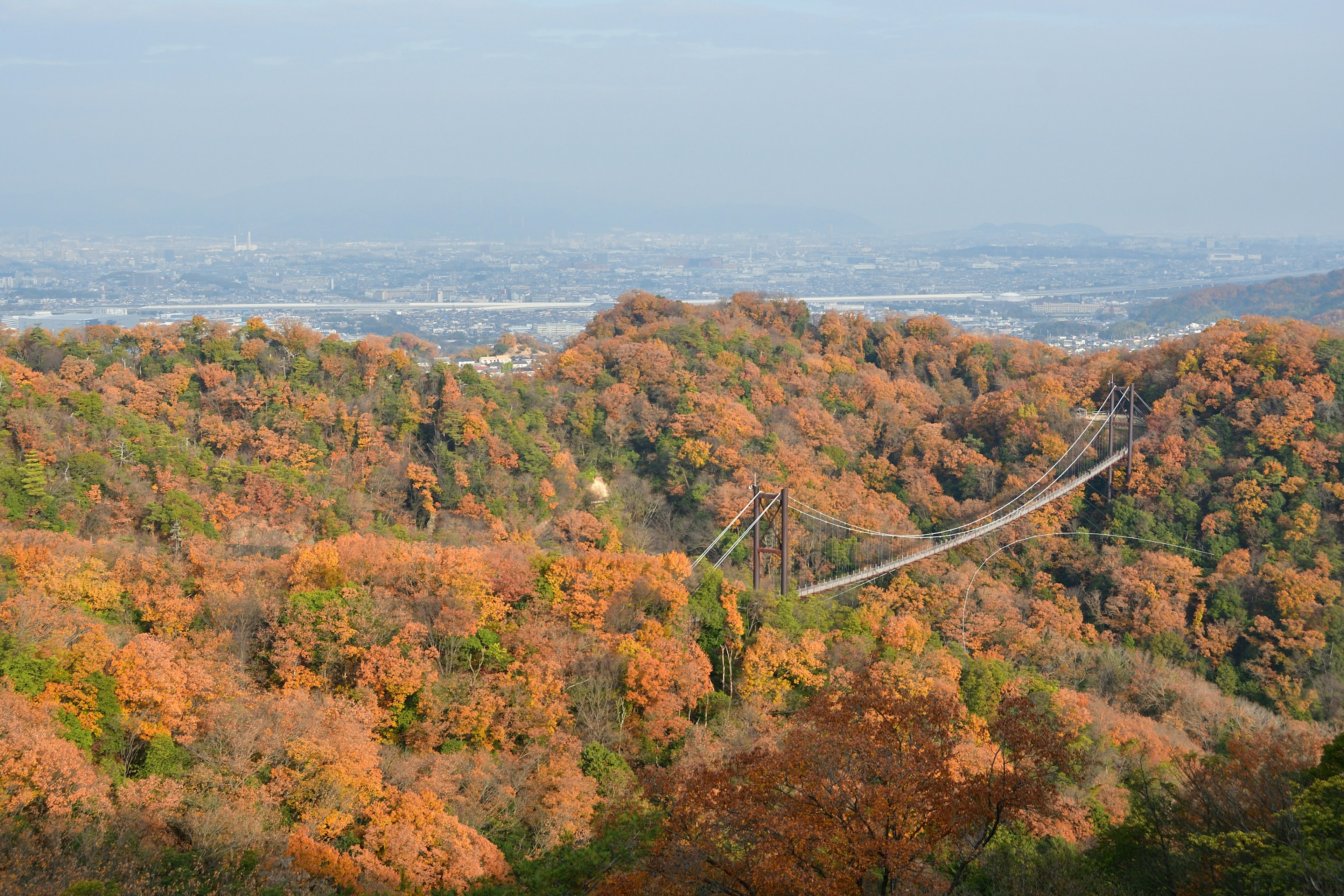 Vue pittoresque du feuillage d'automne avec un pont suspendu