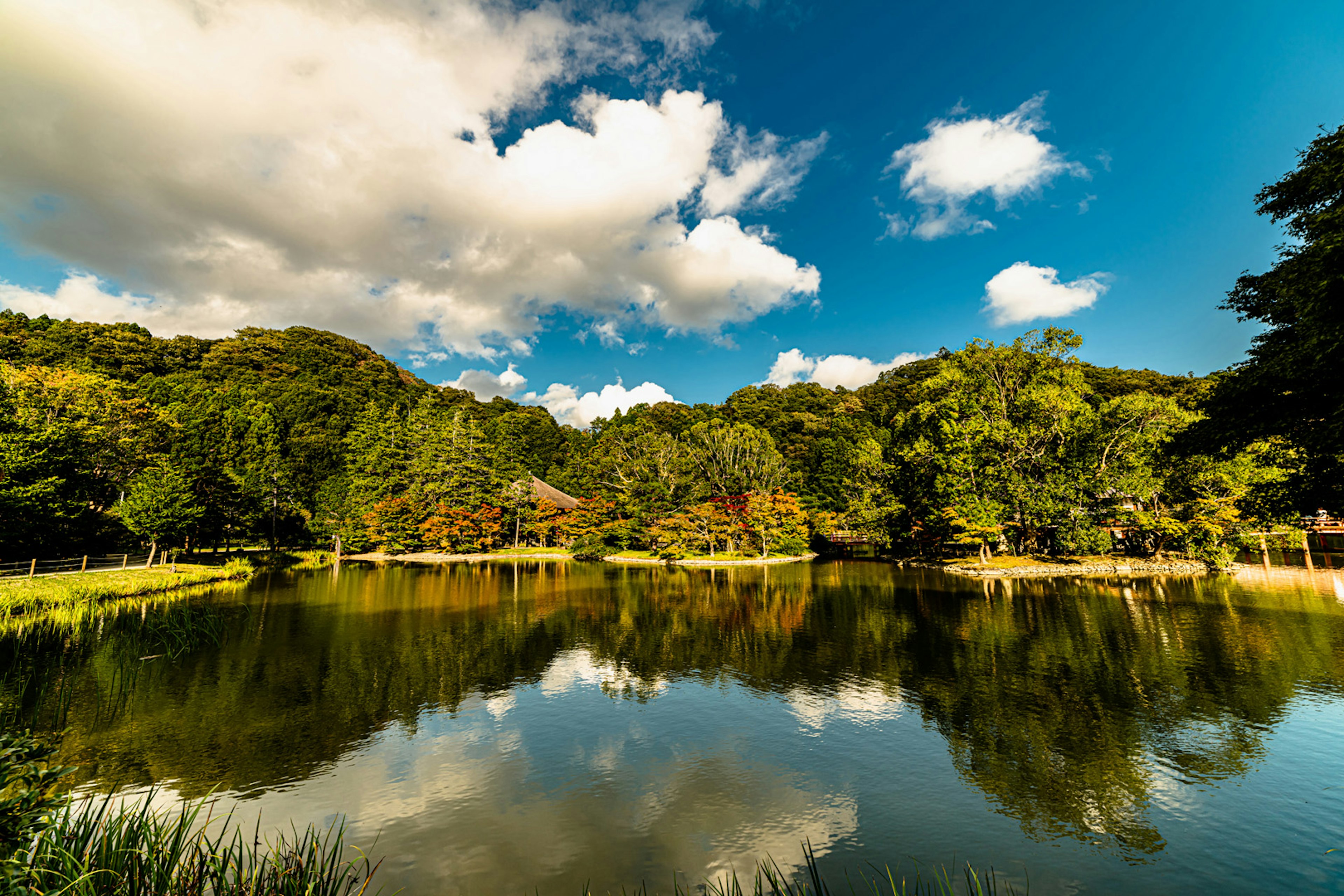 Lago sereno che riflette la vegetazione lussureggiante e le nuvole