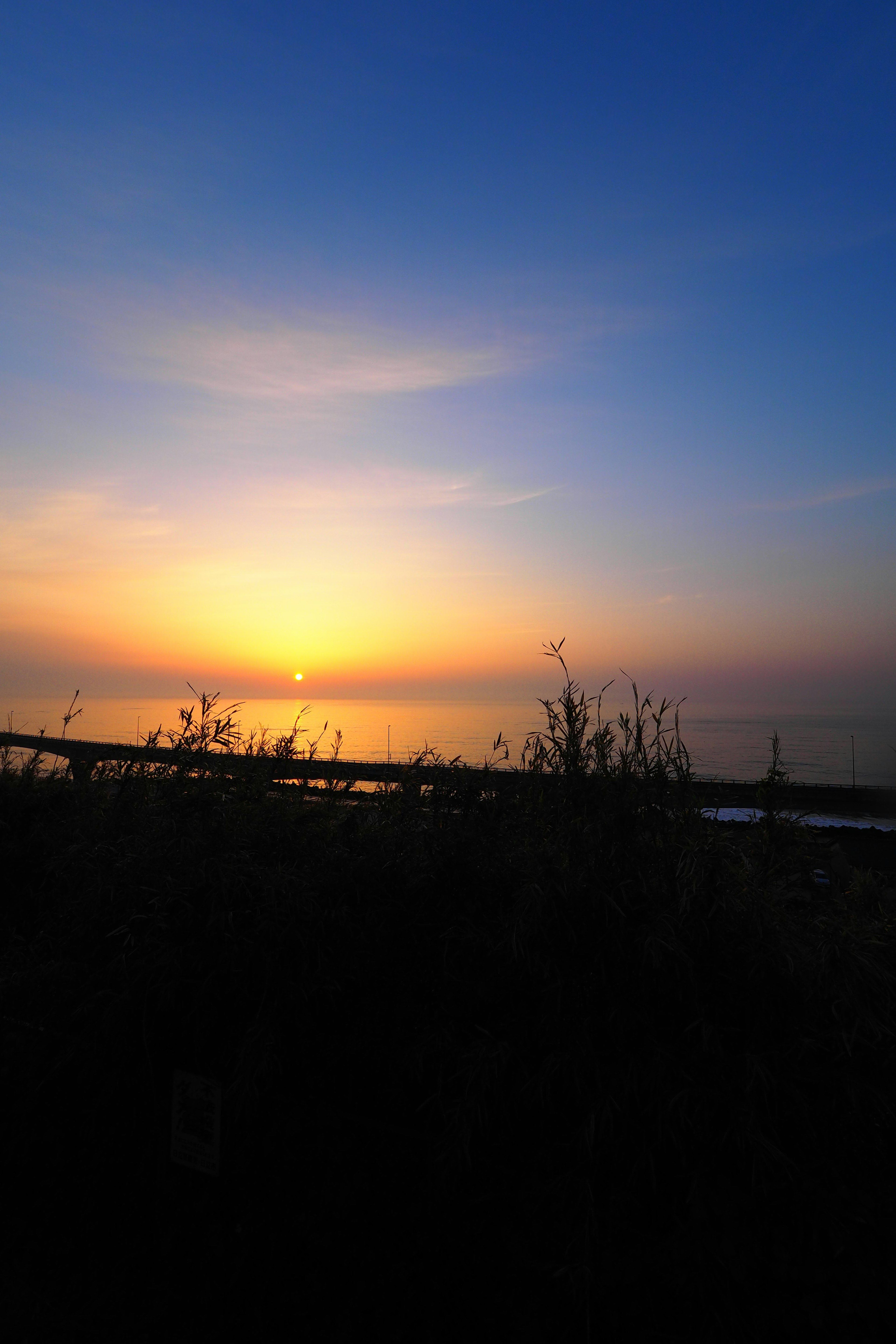 Beautiful sunset view with gradient colors in the sky and silhouette of grass