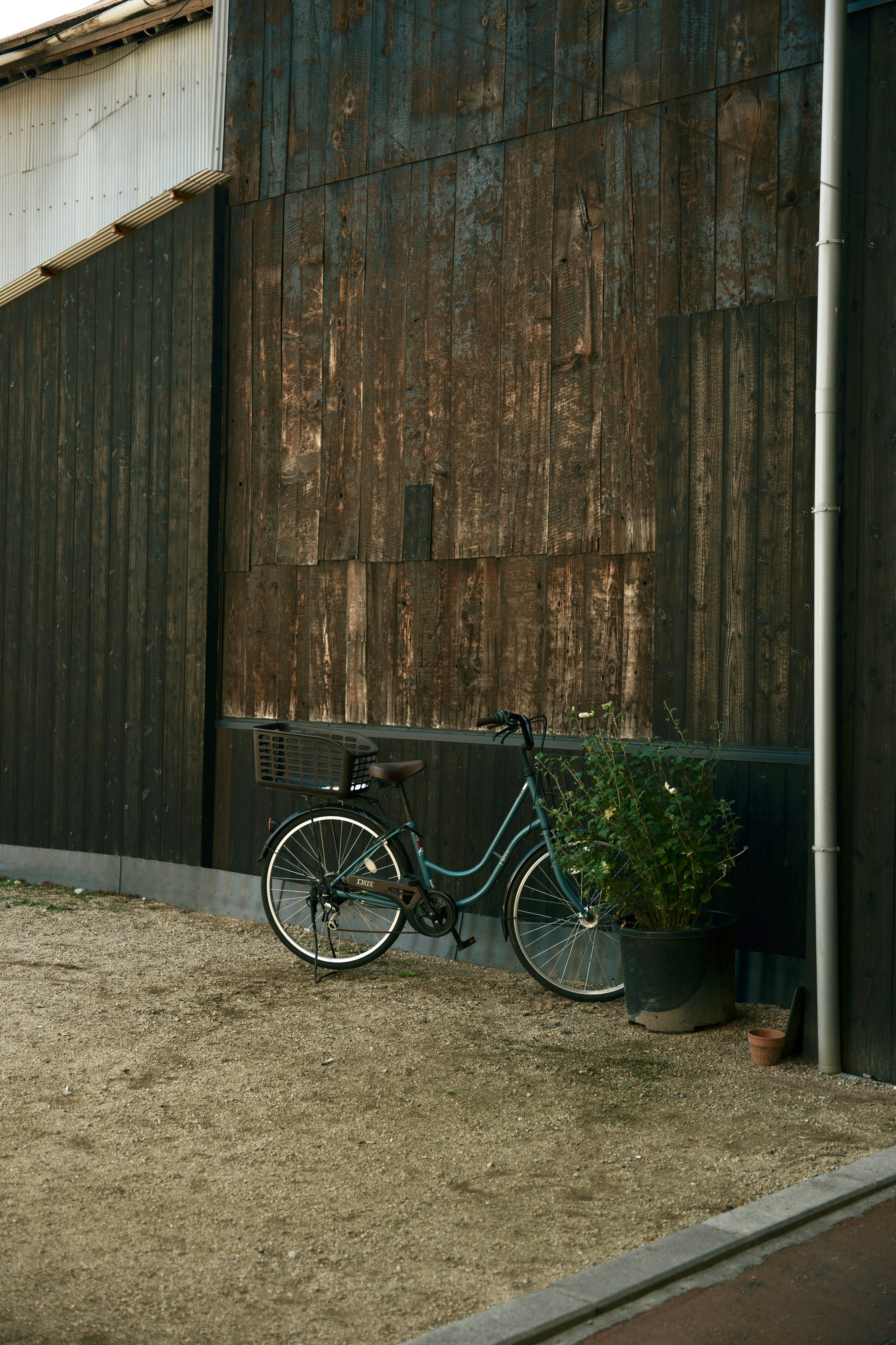 Bicycle leaning against a rustic wooden wall with a potted plant nearby