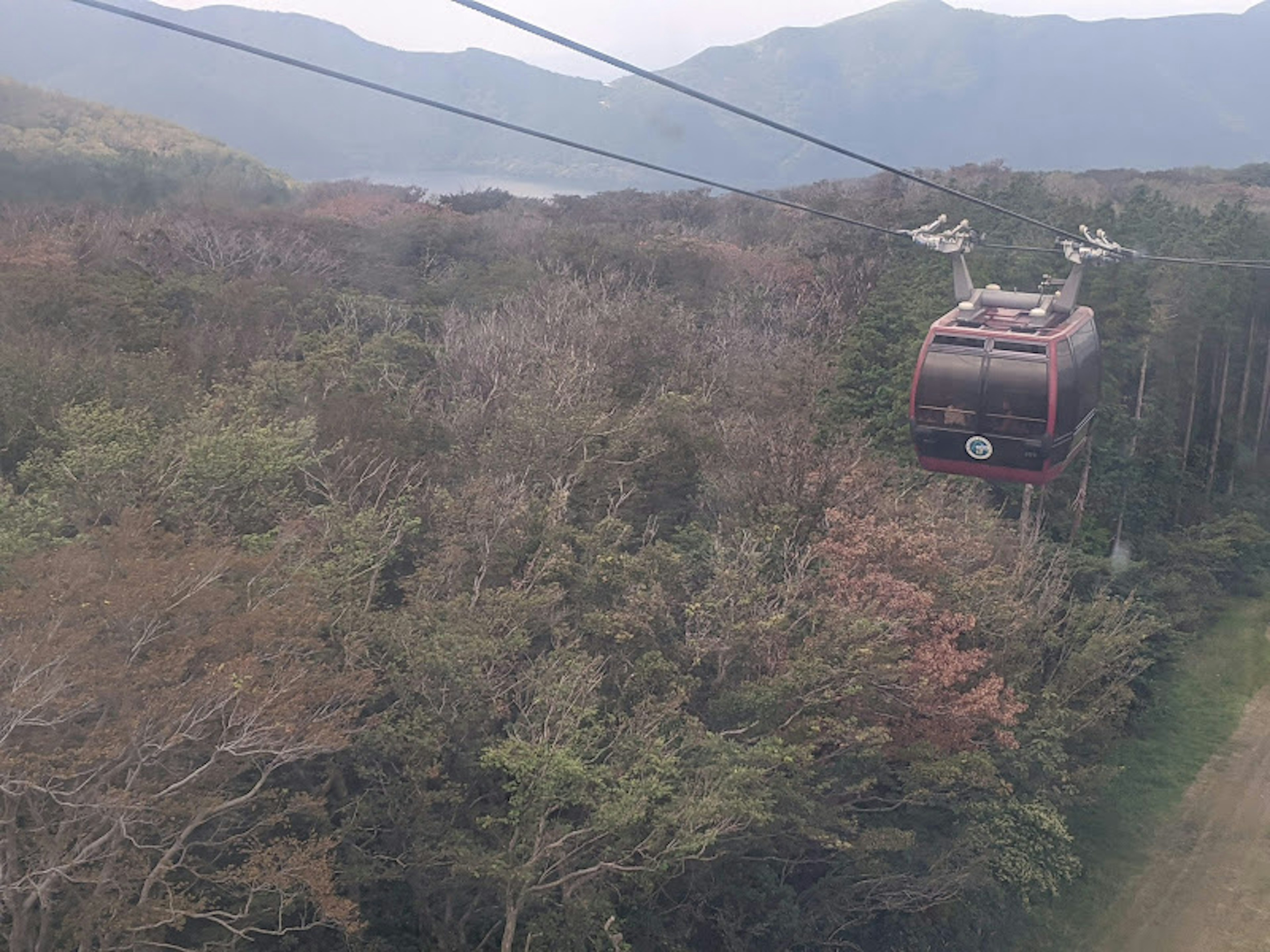 A cable car gliding through mountainous terrain surrounded by lush forests