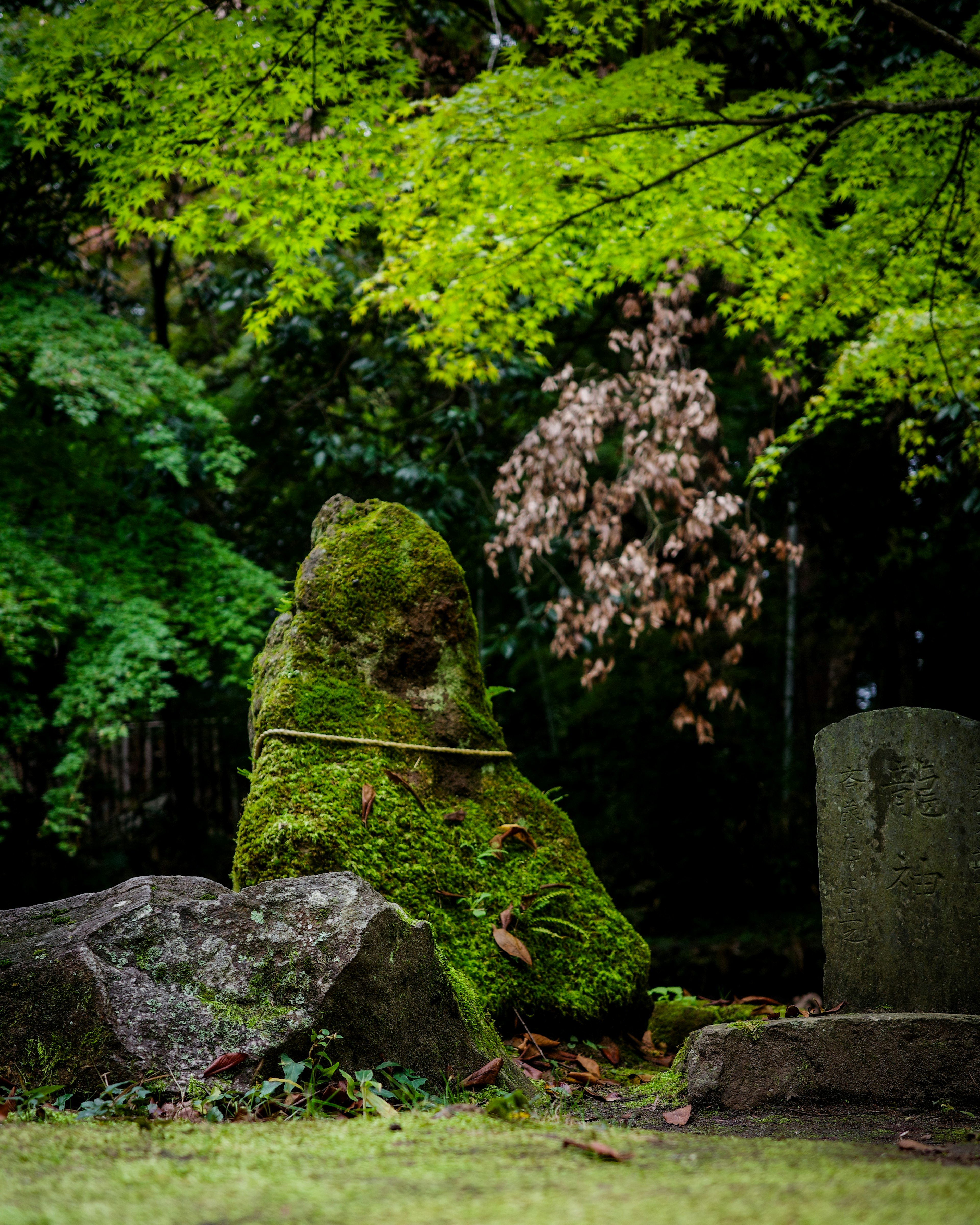 Moss-covered stone surrounded by green leaves and an old gravestone