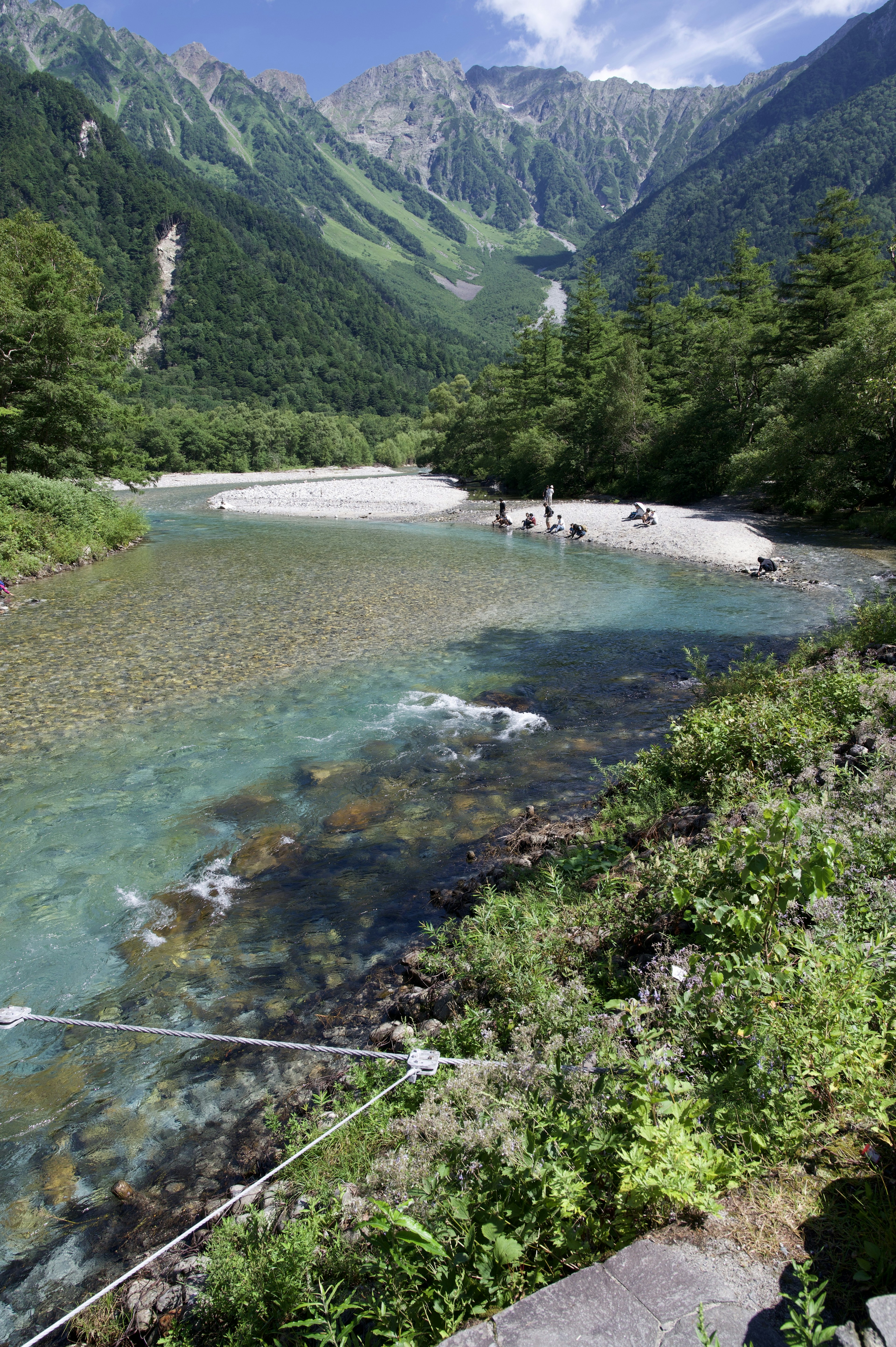 美しい山々に囲まれた清流と緑の植物の景色