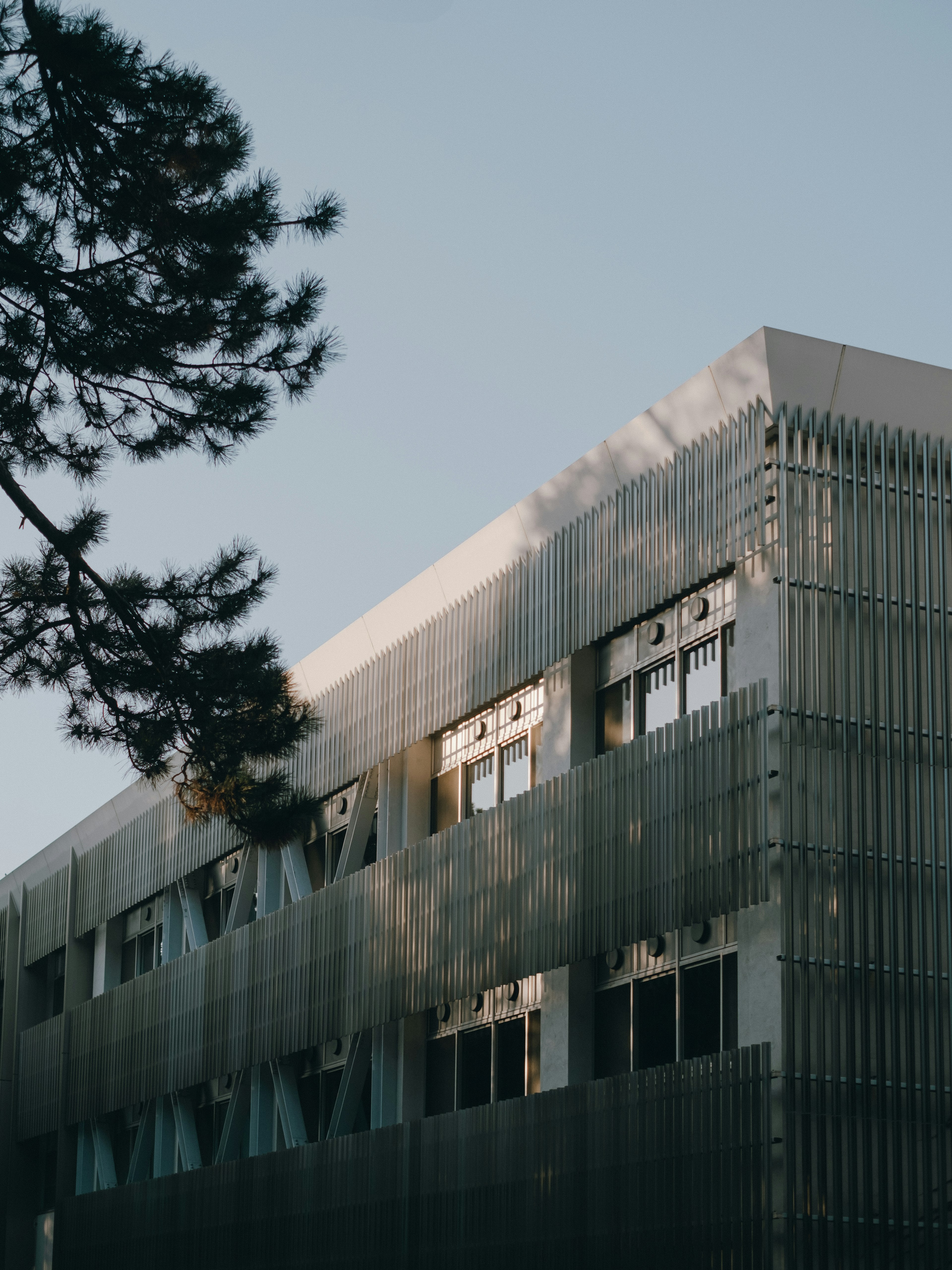 Exterior moderno de un edificio con fachada metálica cielo azul de fondo ramas de árbol en primer plano