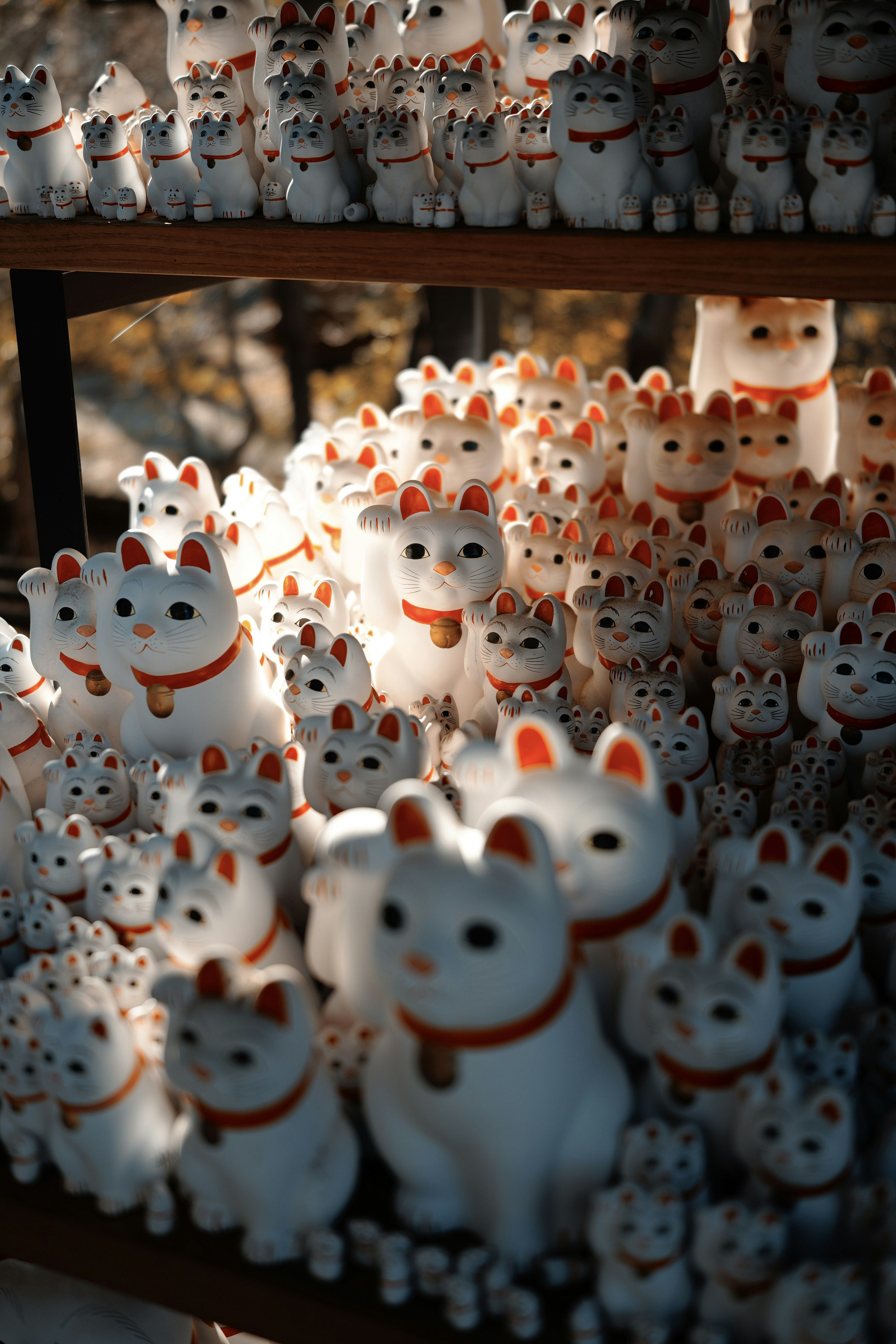 A collection of white lucky cat figurines arranged closely together