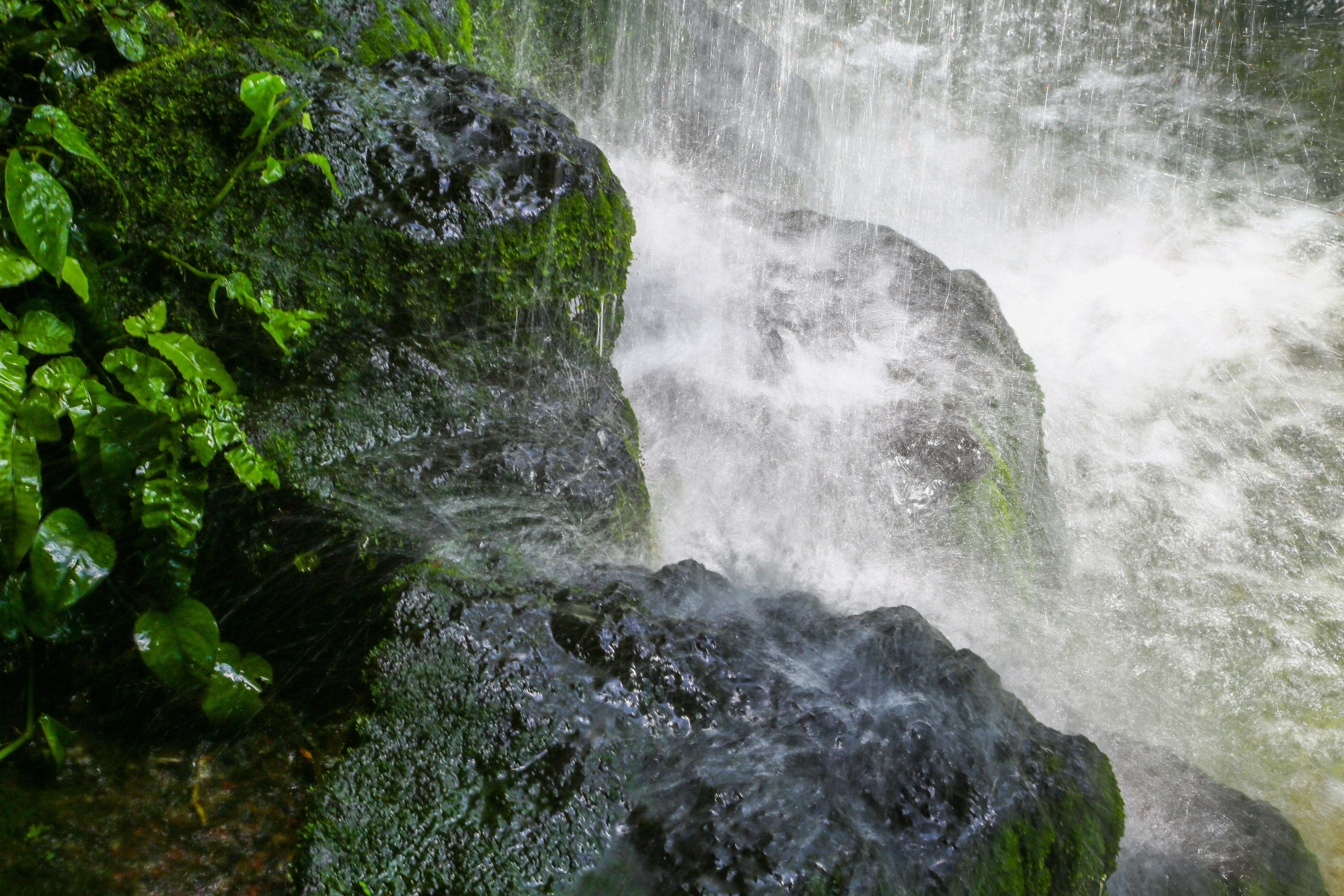 Scène naturelle avec des rochers couverts de mousse près de l'eau qui coule