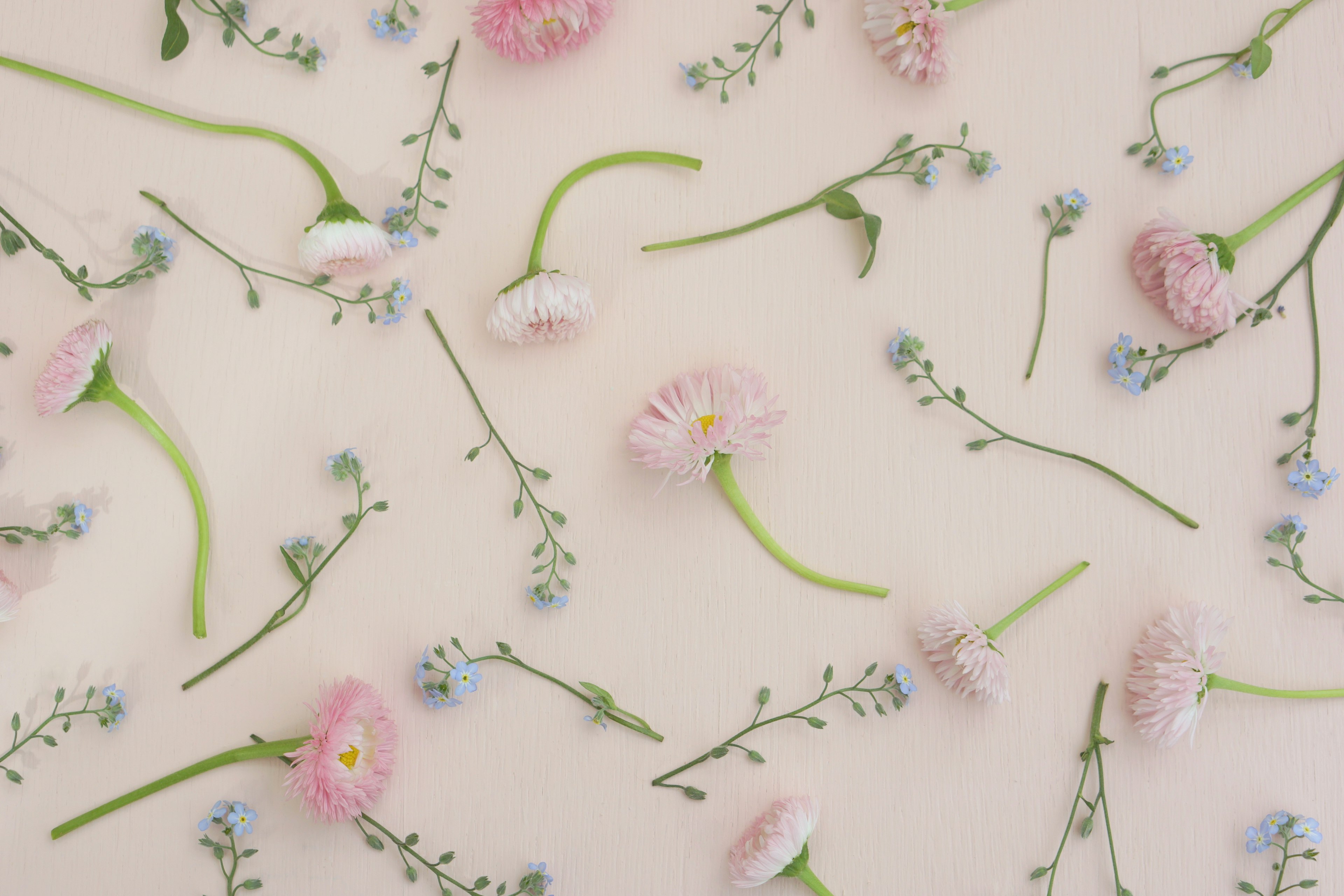 Soft colored flowers and green stems scattered on a light background