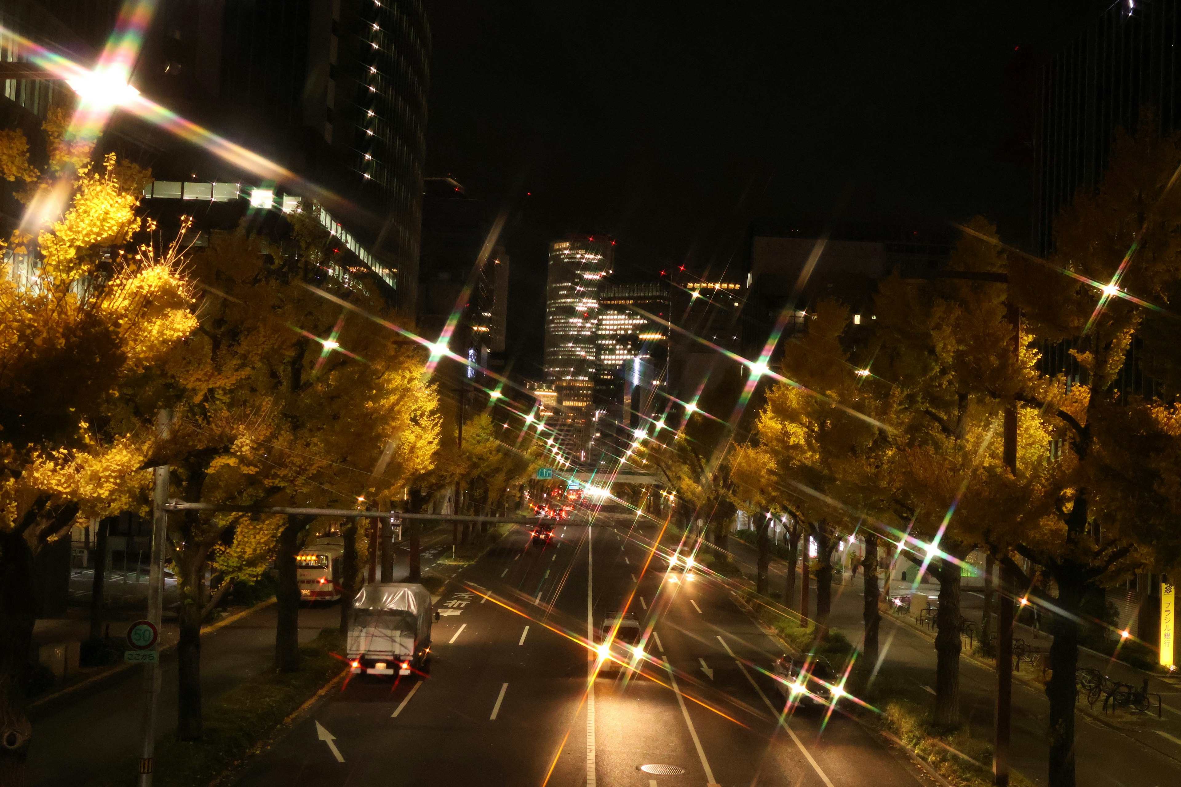 Street lined with ginkgo trees and glowing streetlights at night