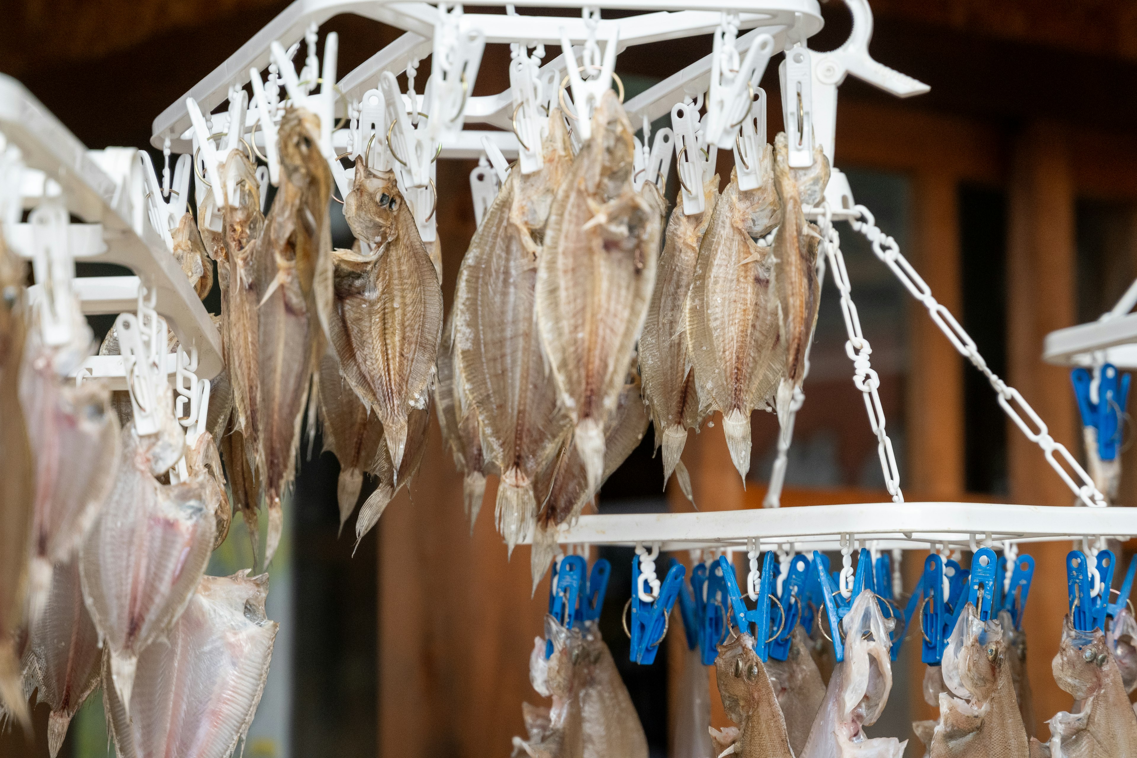 Poissons séchés suspendus sur un séchoir