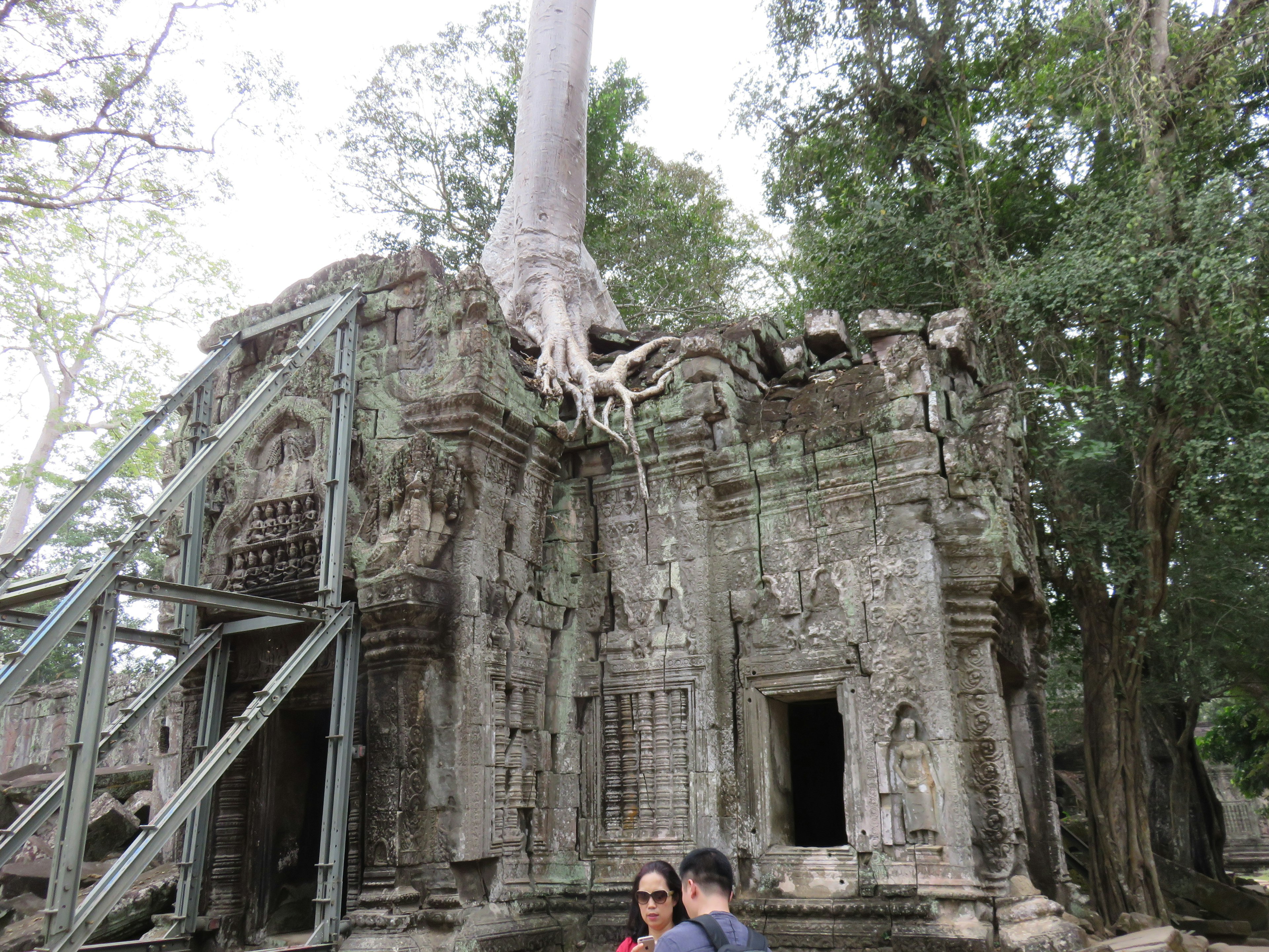 Temple ancien avec de grandes racines d'arbre entrelacées